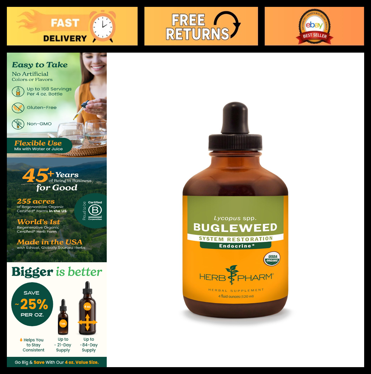Bugleweed Liquid Extract Drops – Endocrine Support, Herbal Supplement, 4 Oz