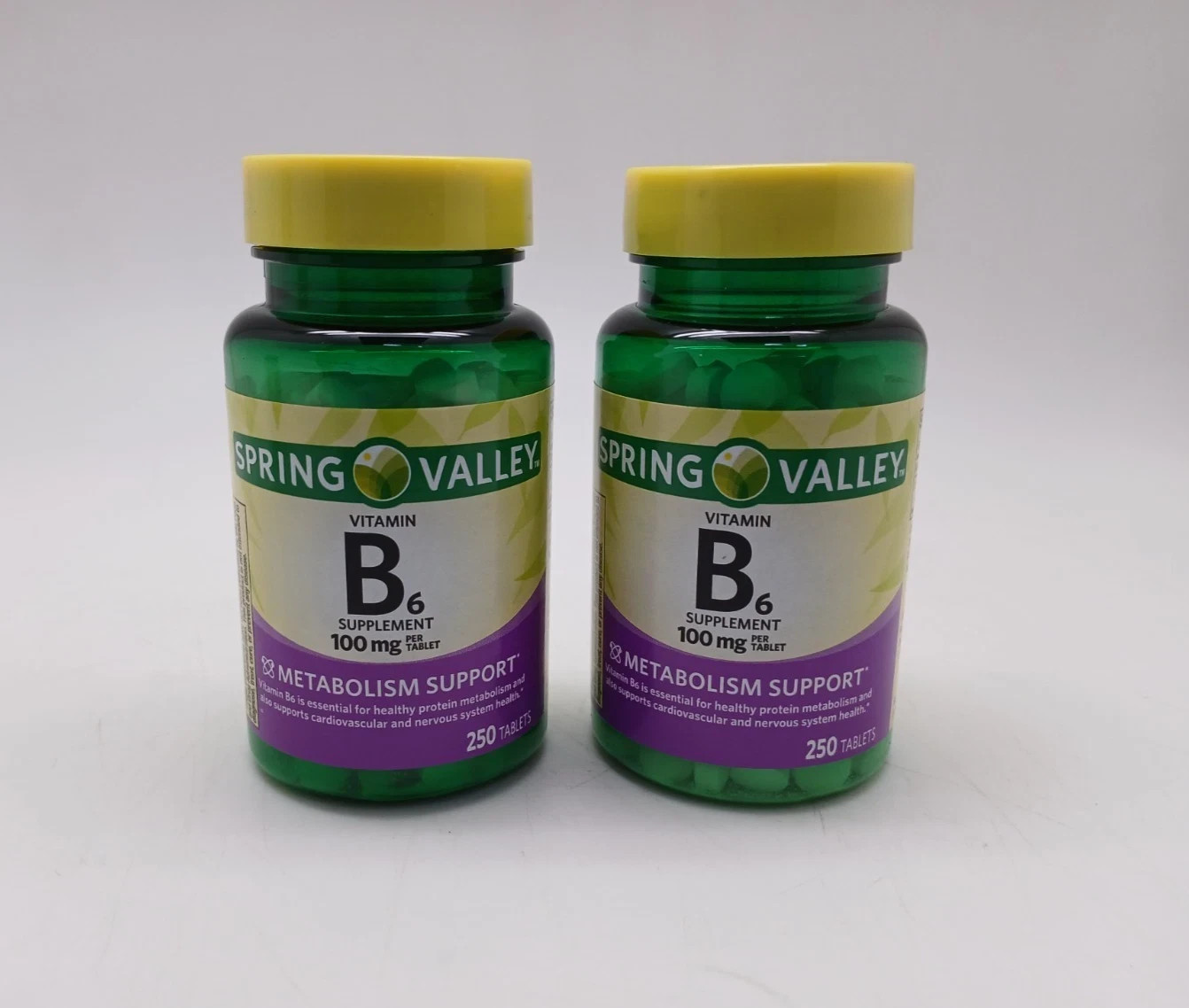 Spring Valley Vitamin B6 100mg | 250 Tablets 2 Pack 500 Total | Energy Support