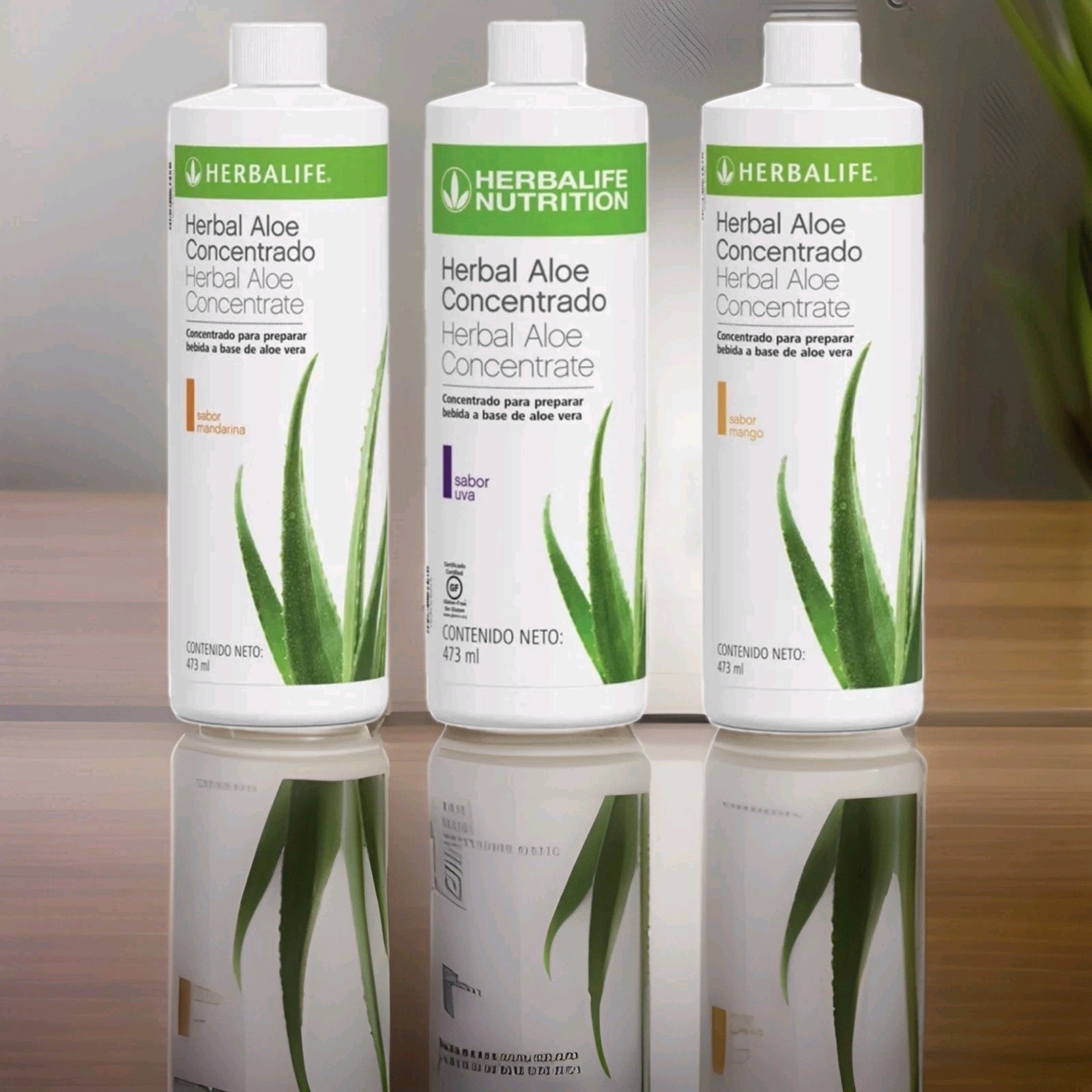 herbalife Aloe concentrate (5 flavours) – Pint Or Half Gallon – Express Delivery