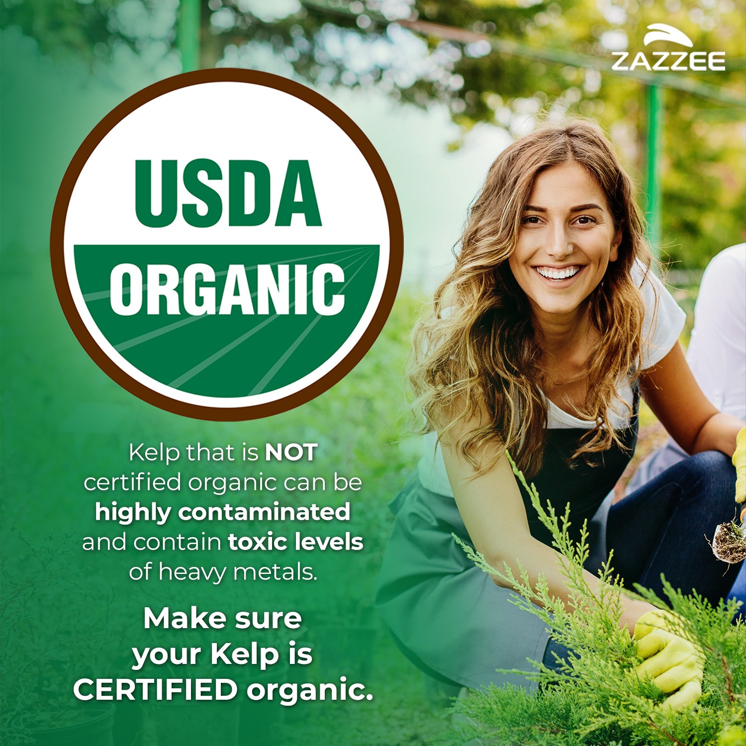 Zazzee USDA Organic Kelp Iodine 30:1 Extract, 300 mcg, 120 Vegan Capsules