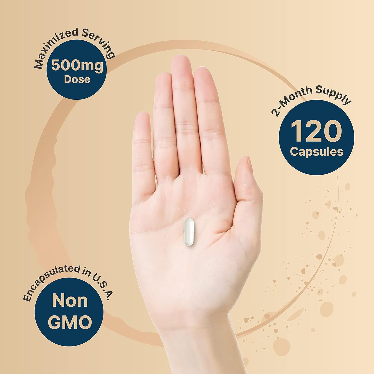 Naturebell Citicoline CDP Choline 500Mg with Tyrosine 50Mg, 120 Capsules