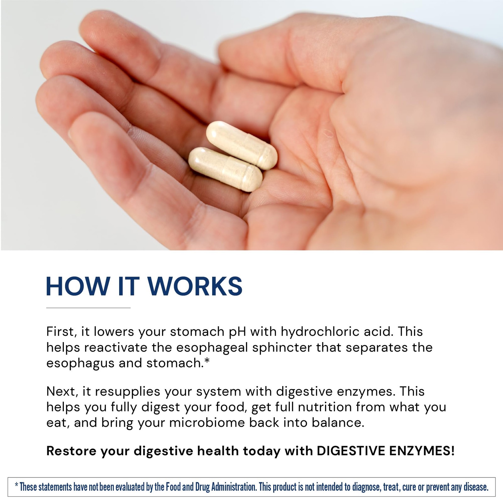 Bodyhealth Digestive Enzymes Full Spectrum Digestive Support 180 Caps Betaine
