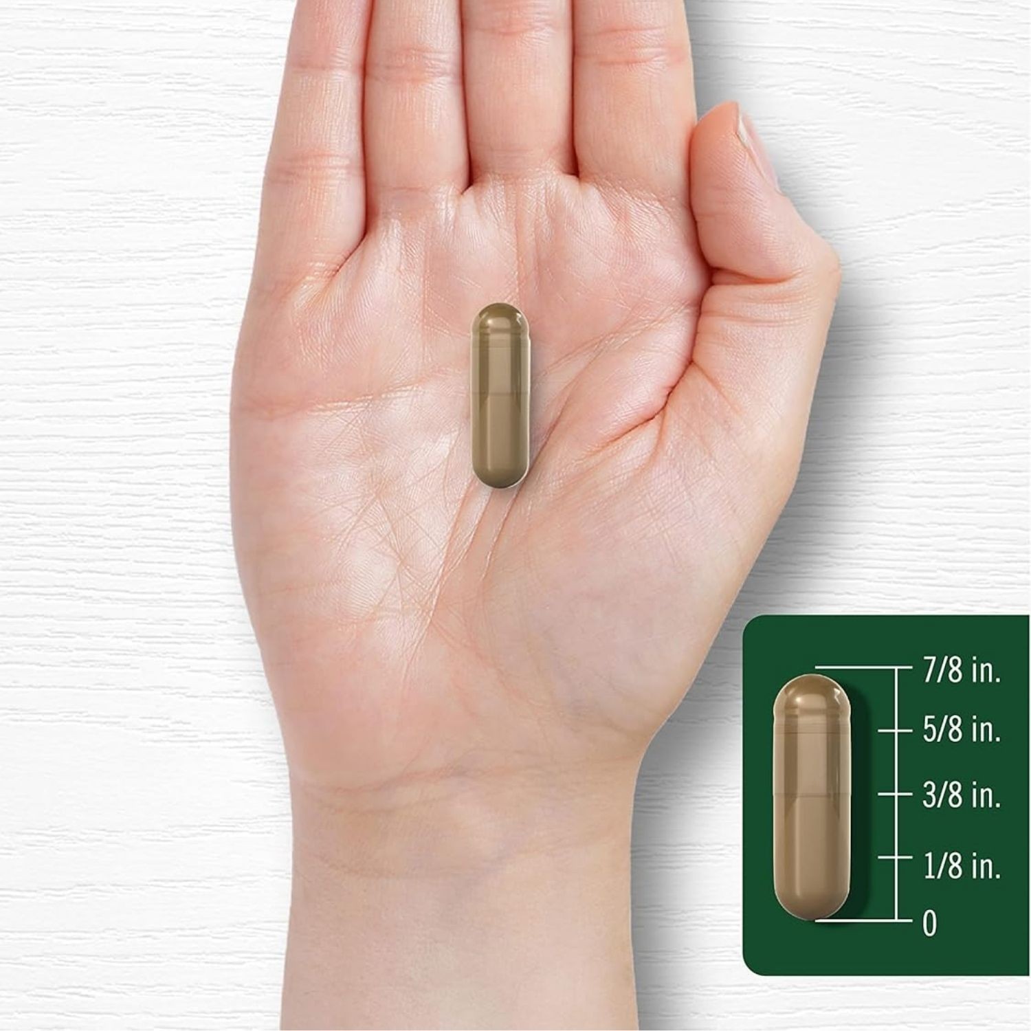 Fennel Seed 480mg 200 Capsules Foeniculum vulgare 200 Servings