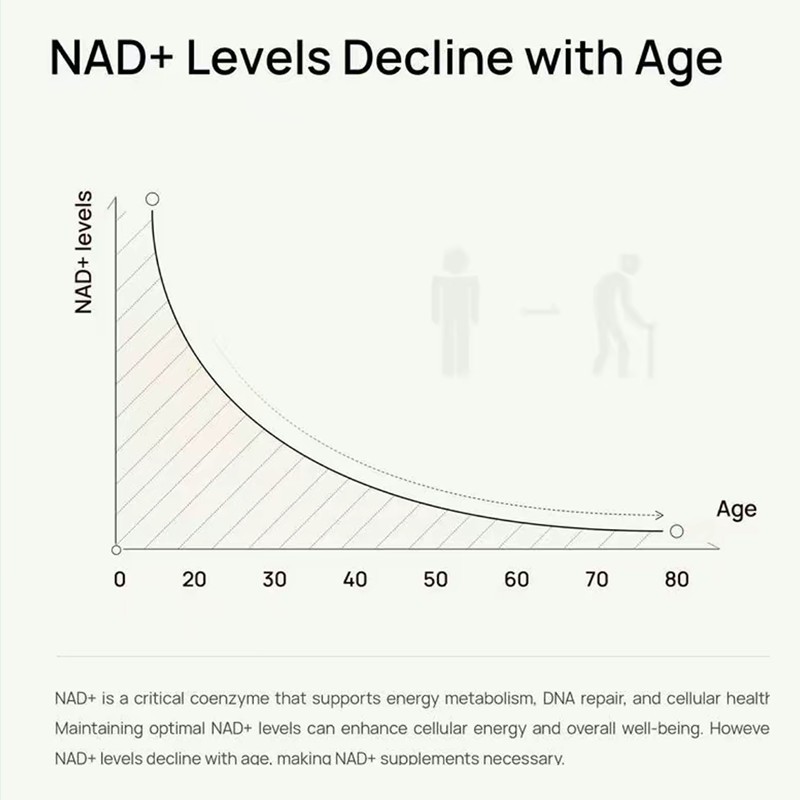 Selerb NAD+ Supplement for Liposomal-NAD+,CoQ10, Men-With L-Carnitine, L-Arginin