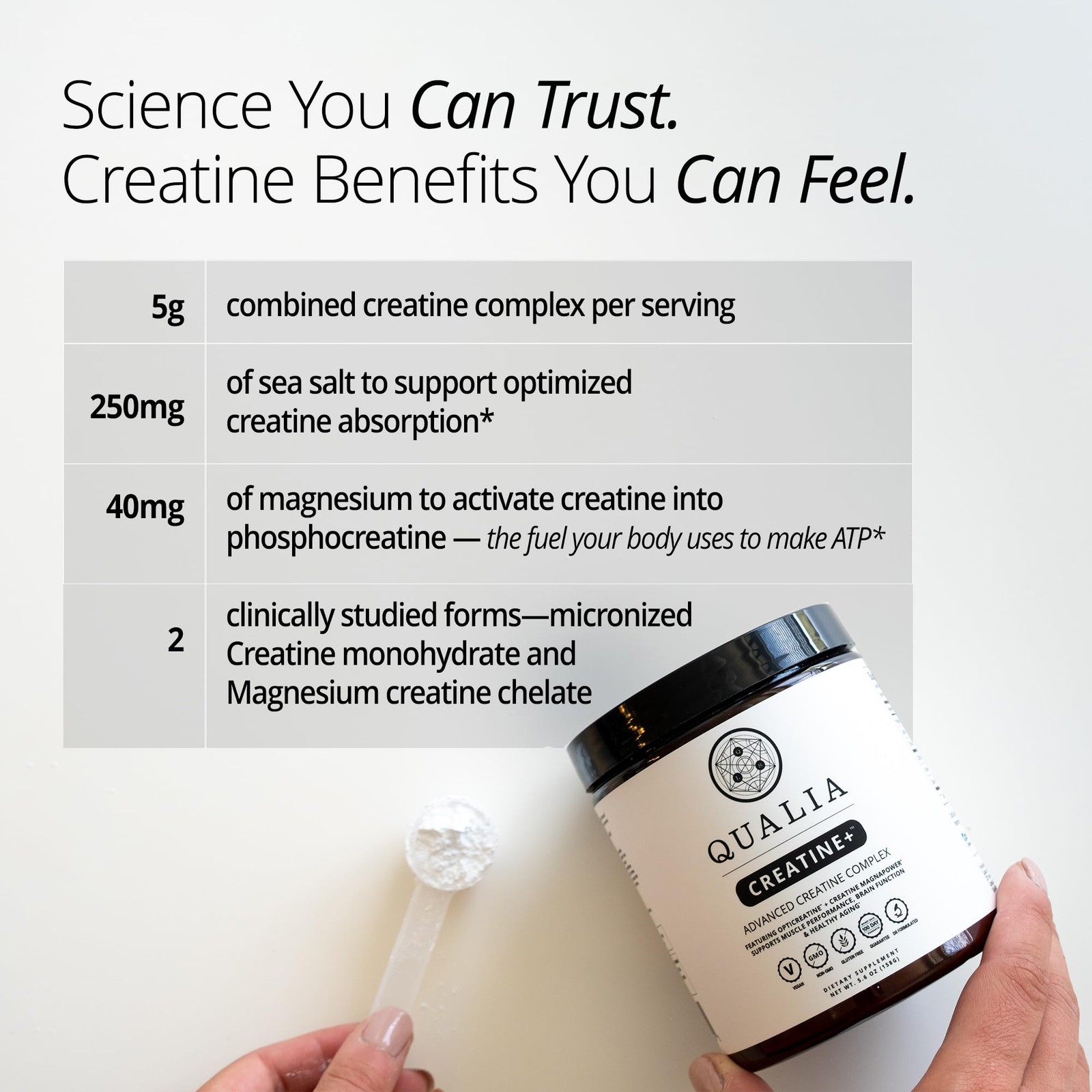 Qualia Creatine | Advanced Creatine Complex | 2 Sources + Magnesium | Optimiz…