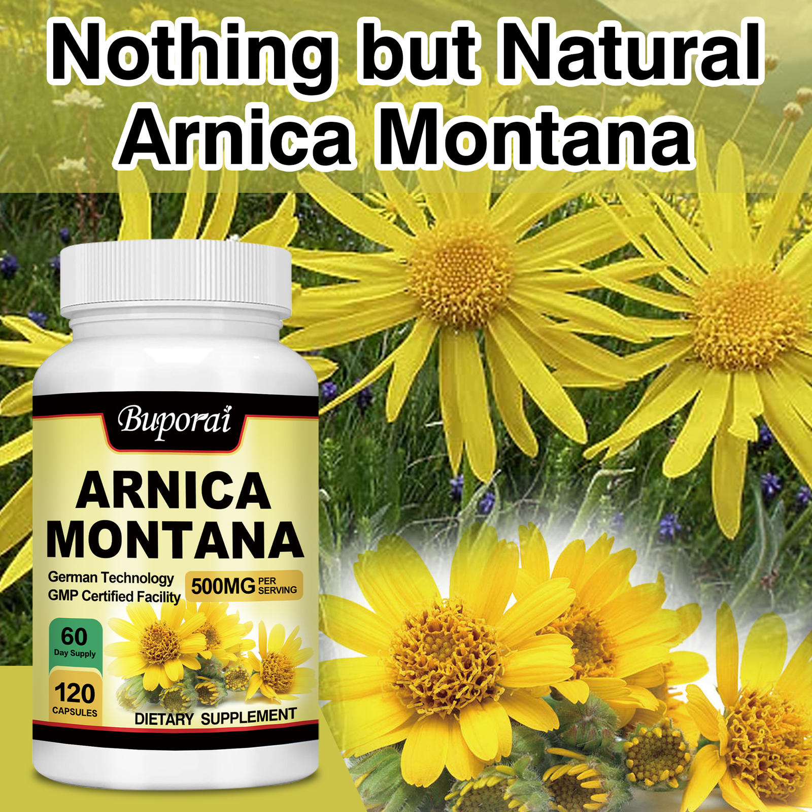 Arnica Montana 500mg -Reliever for Swelling & Bruises, Anti-Inflammatory Support