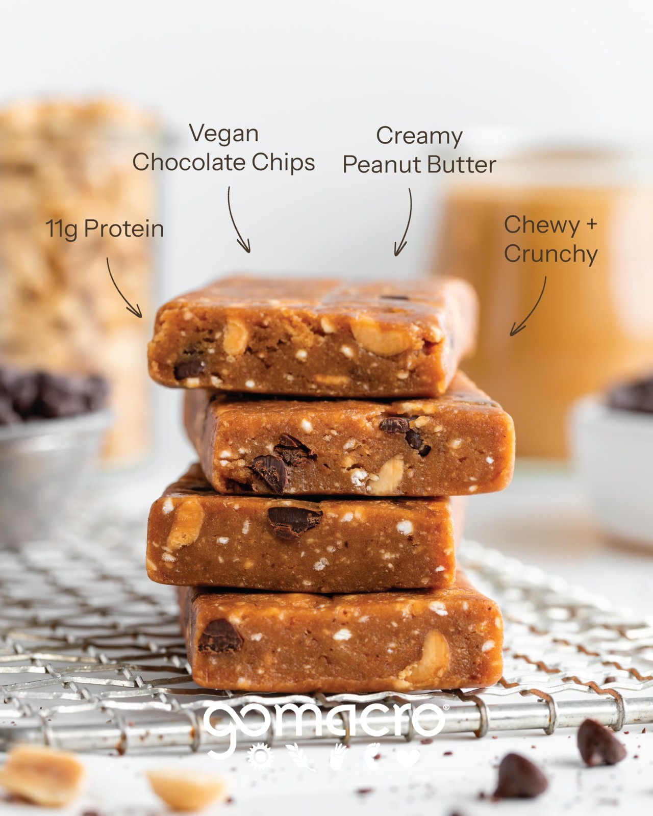 Organic Vegan Protein Bars Peanut Butter Chocolate Chip 2.4oz – 12 Count