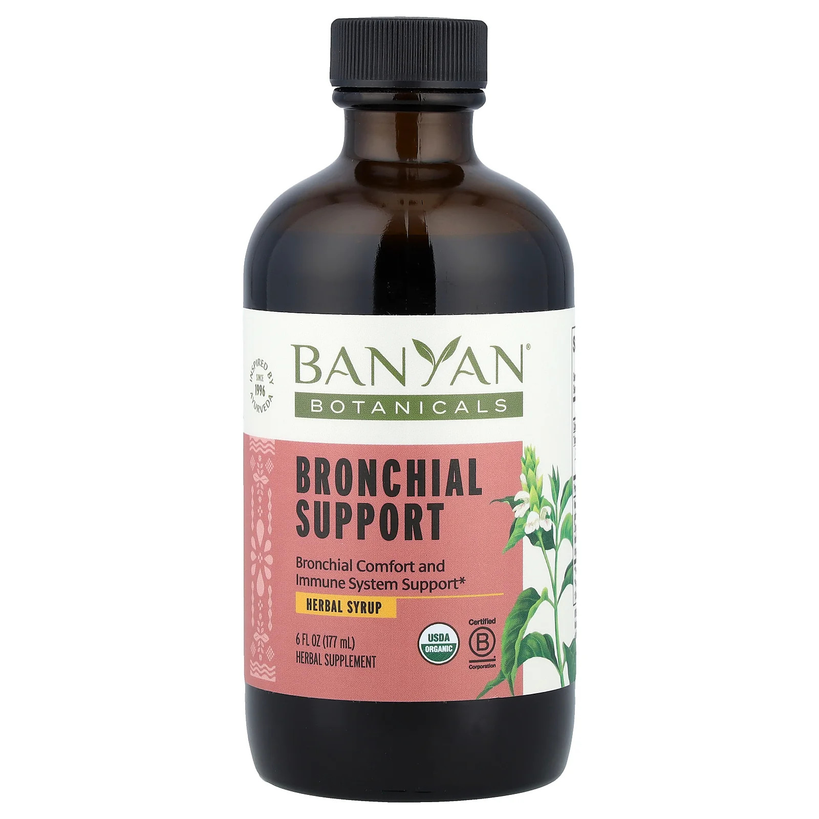 2 X Banyan Botanicals, Bronchial Support Herbal Syrup, 6 fl oz (177 ml)