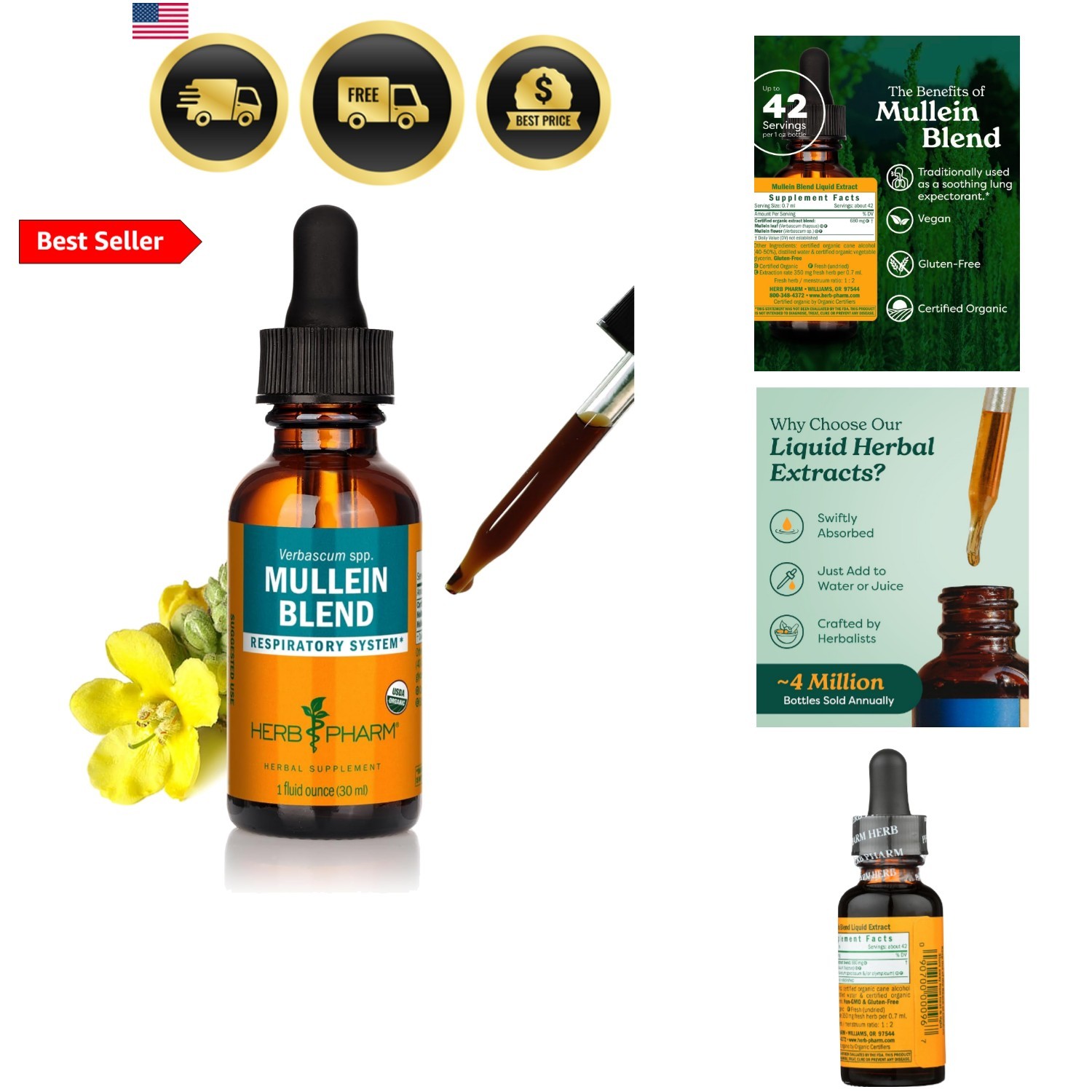 Mullein Blend: Traditional Respiratory Lung Health & Expectorant, Certified O…