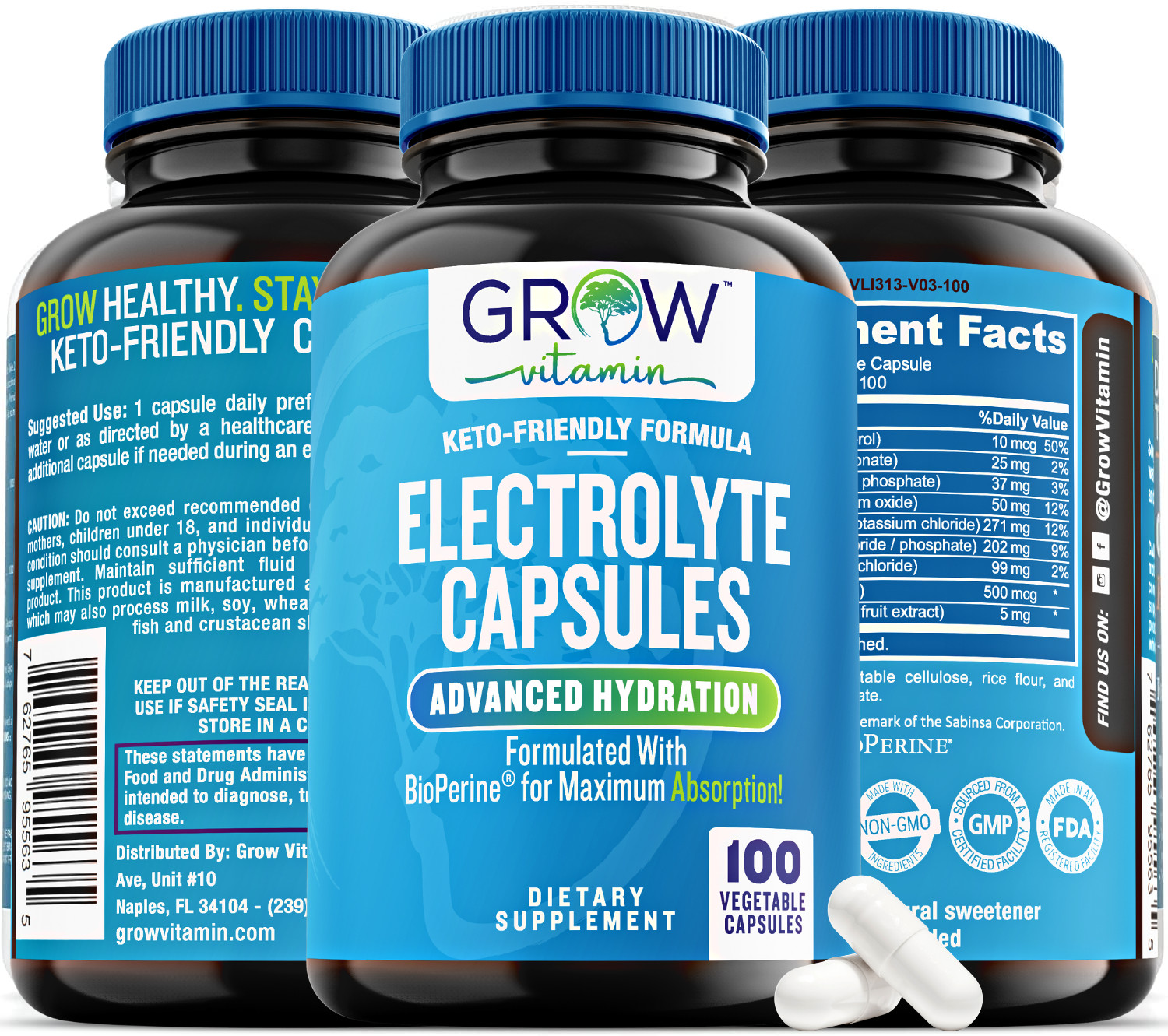 Salt Premium Electrolyte Capsules, 100 Capsules, Maximum Absorption