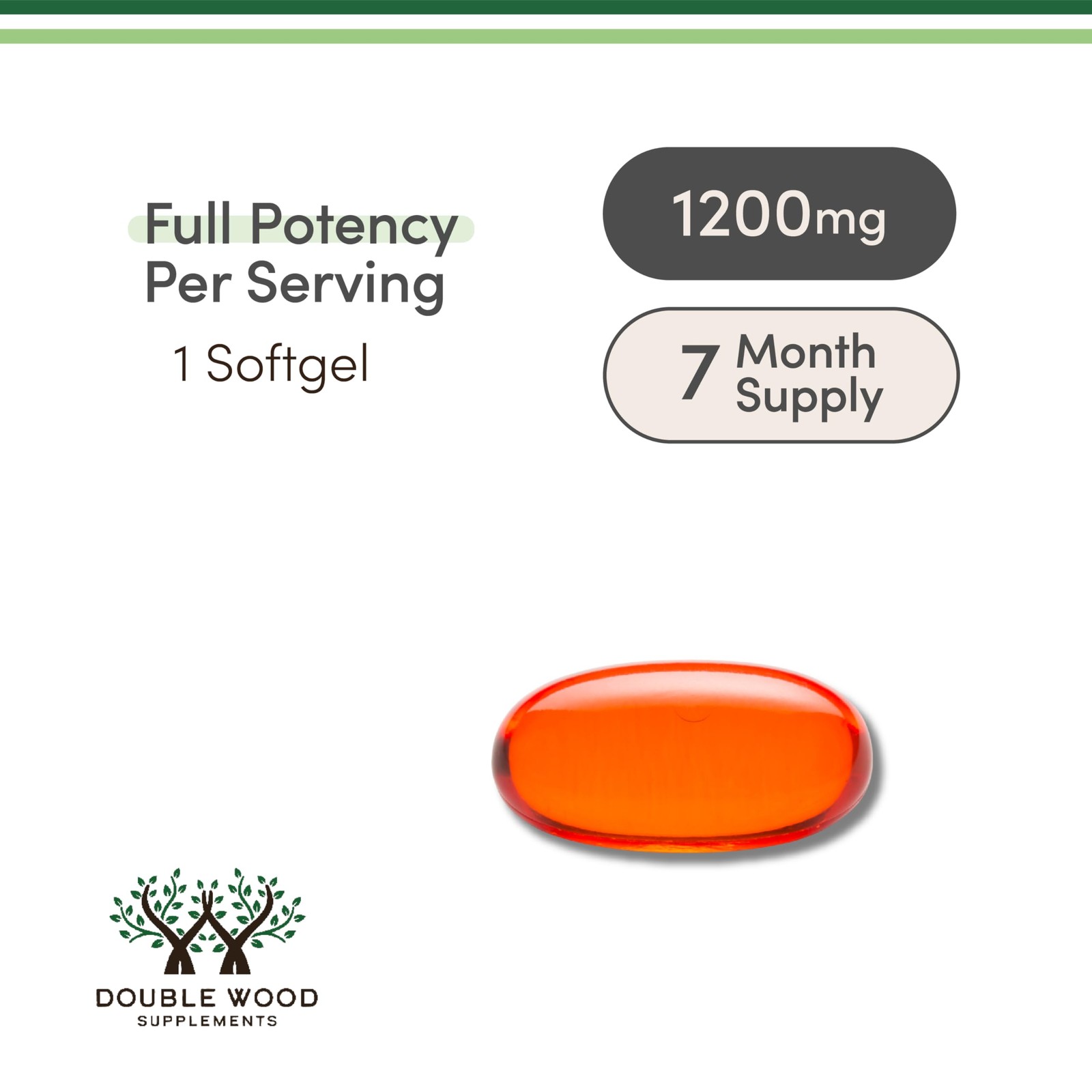 Phosphatidylcholine 1,200mg – 210 Softgels – 210 Count (Pack of 1), No Color
