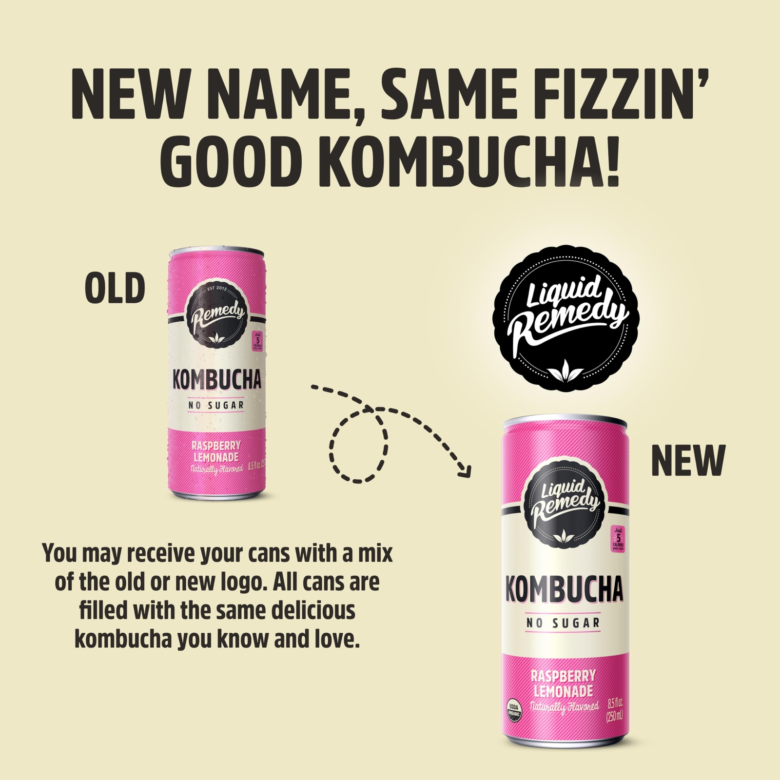 Liquid Remedy Raspberry Lemonade Kombucha 24 Pack 8.5 Fl Oz Sugar Free Drink