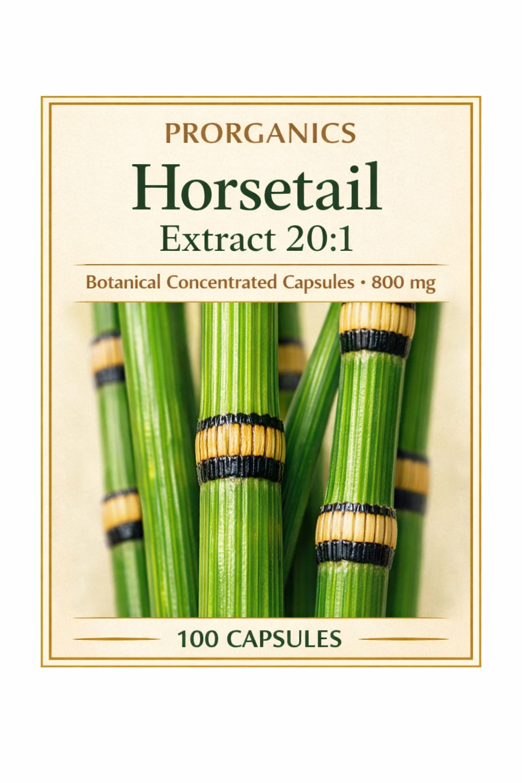 Horsetail Extract 20:1 Capsules – Natural Silica for Hair, Skin & Nails