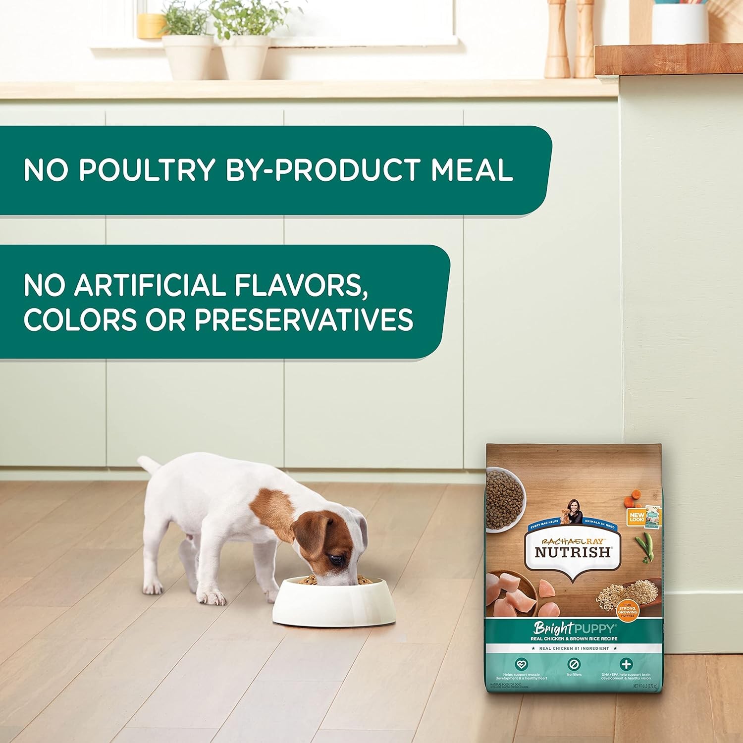 Nutrish Bright Puppy Premium Natural Dry Dog Food,Real Chicken & Brown Rice Reci