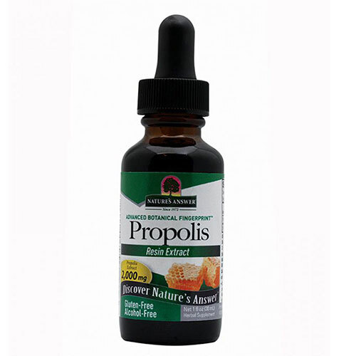 Propolis Alcohol Free 1 FL Oz by Nature’s Answer