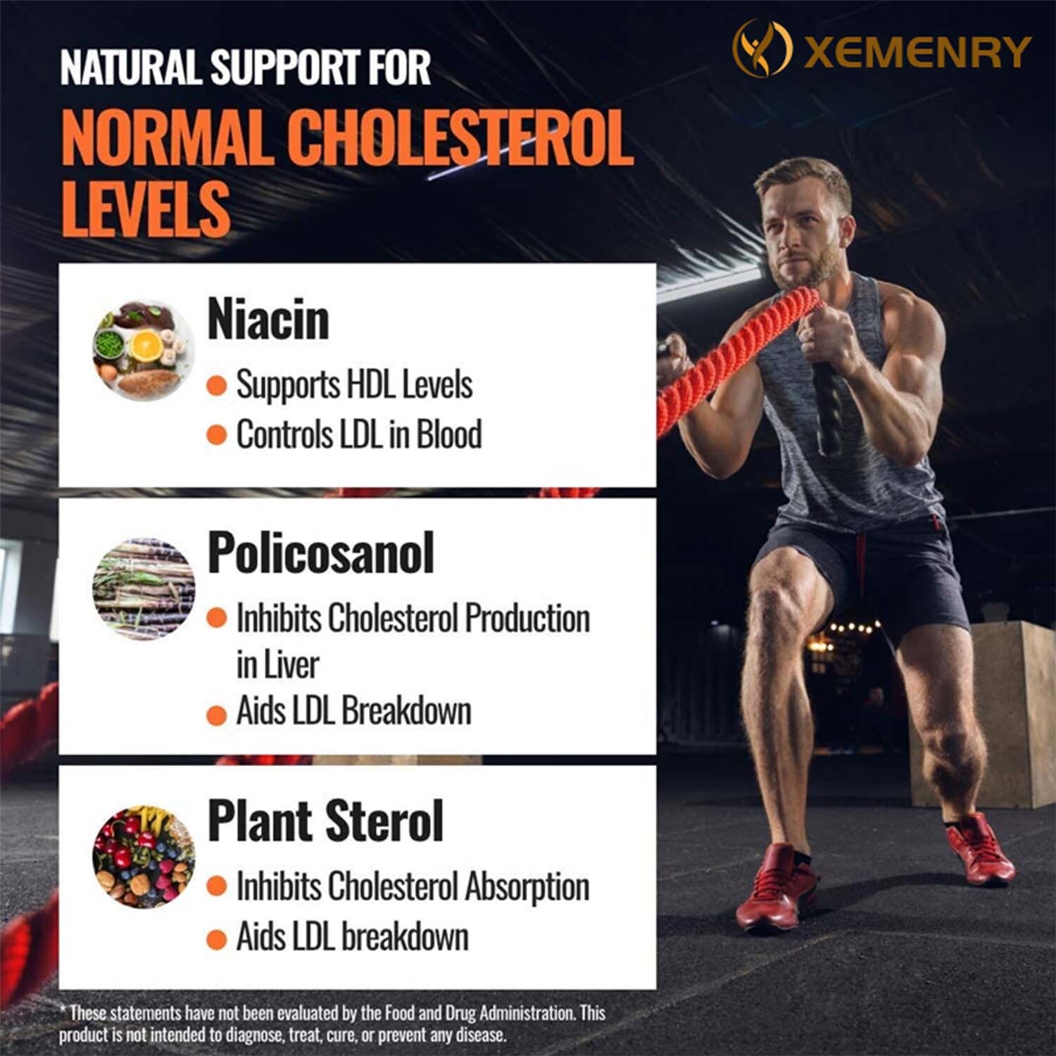 Cholesterol Support – Balance Cholesterol Supplement High Cholesterol Lowering
