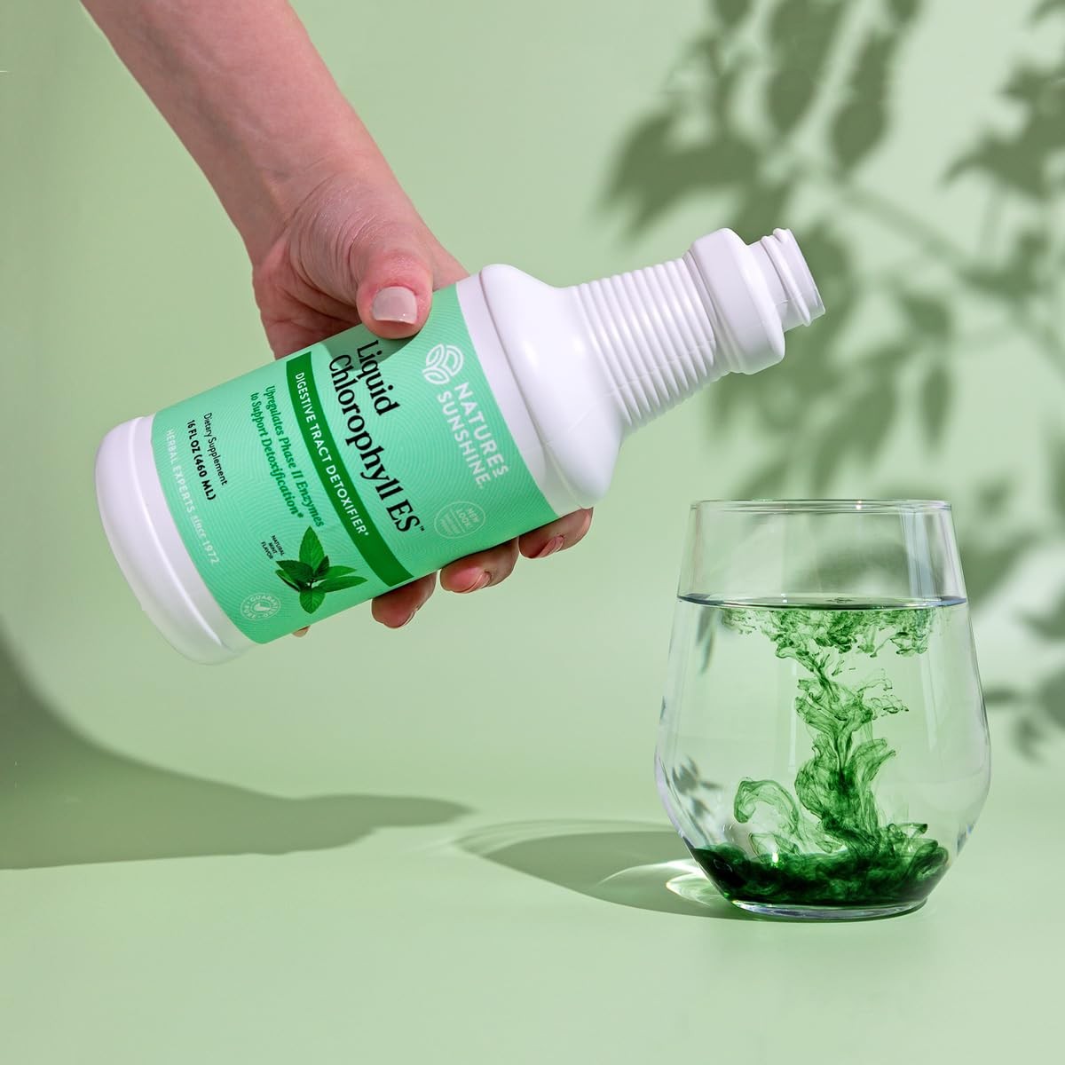Nature’s Sunshine Liquid Chlorophyll Extra Strength – 16 Fl Oz (Pack of 1)