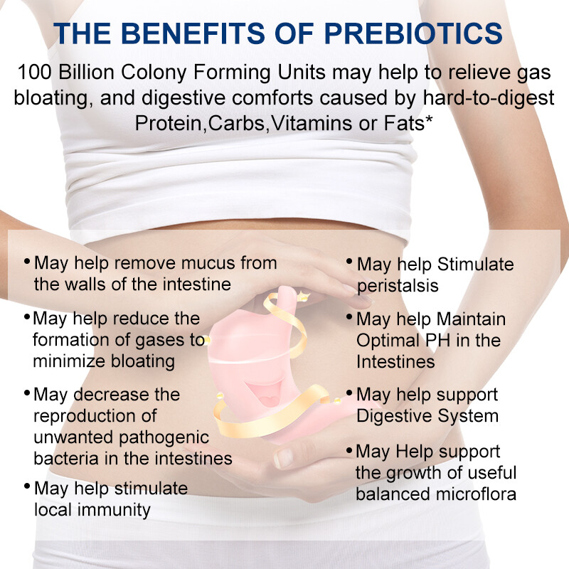 Probiotics Digestive Enzymes 100 Billion CFU Potency Immune Health 360 Capsules