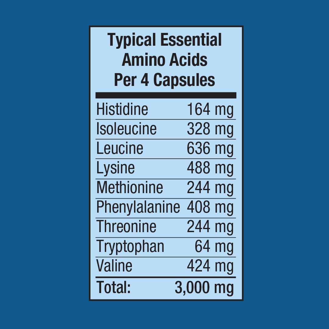 Amino Acid Supplement | 180 Capsules | AminoFit Complex | by Fitness Labs