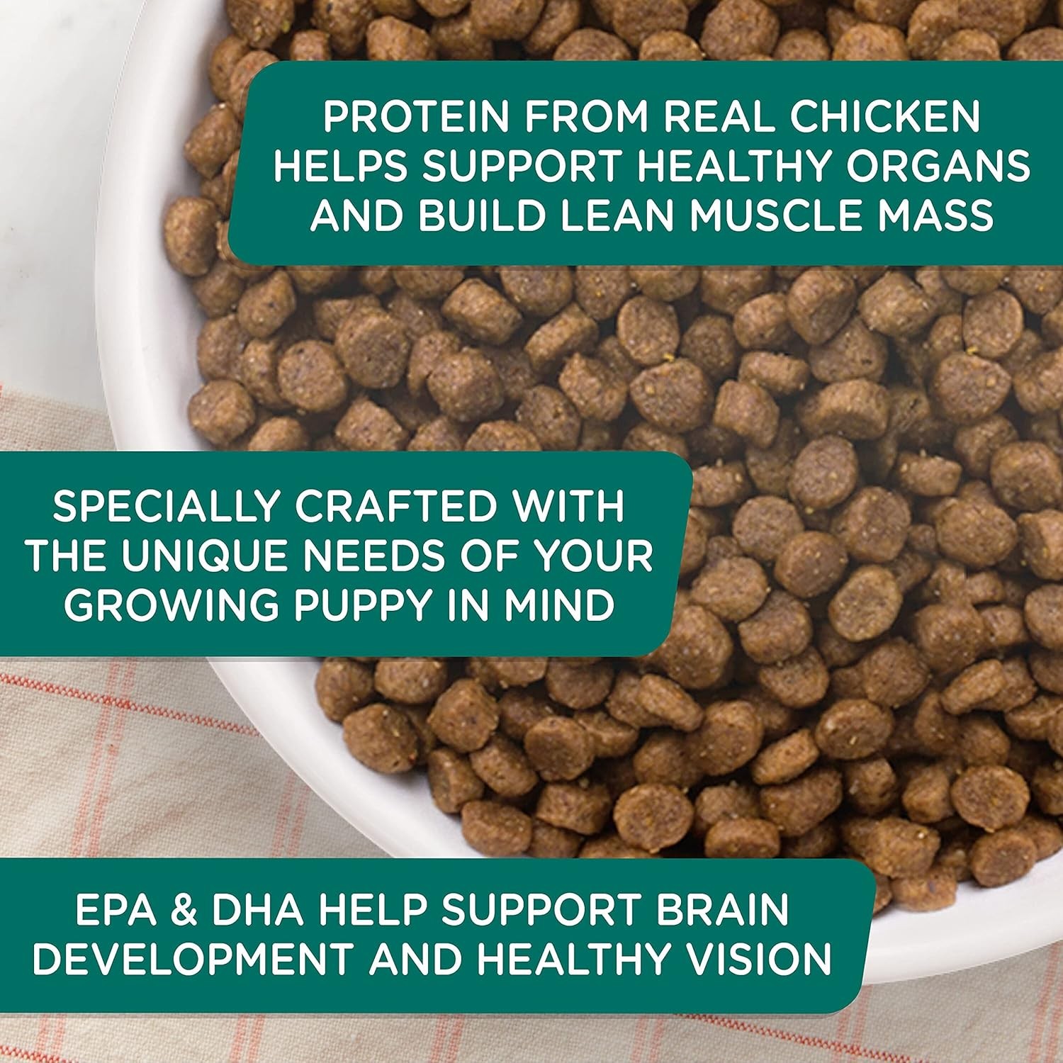 Nutrish Bright Puppy Premium Natural Dry Dog Food,Real Chicken & Brown Rice Reci