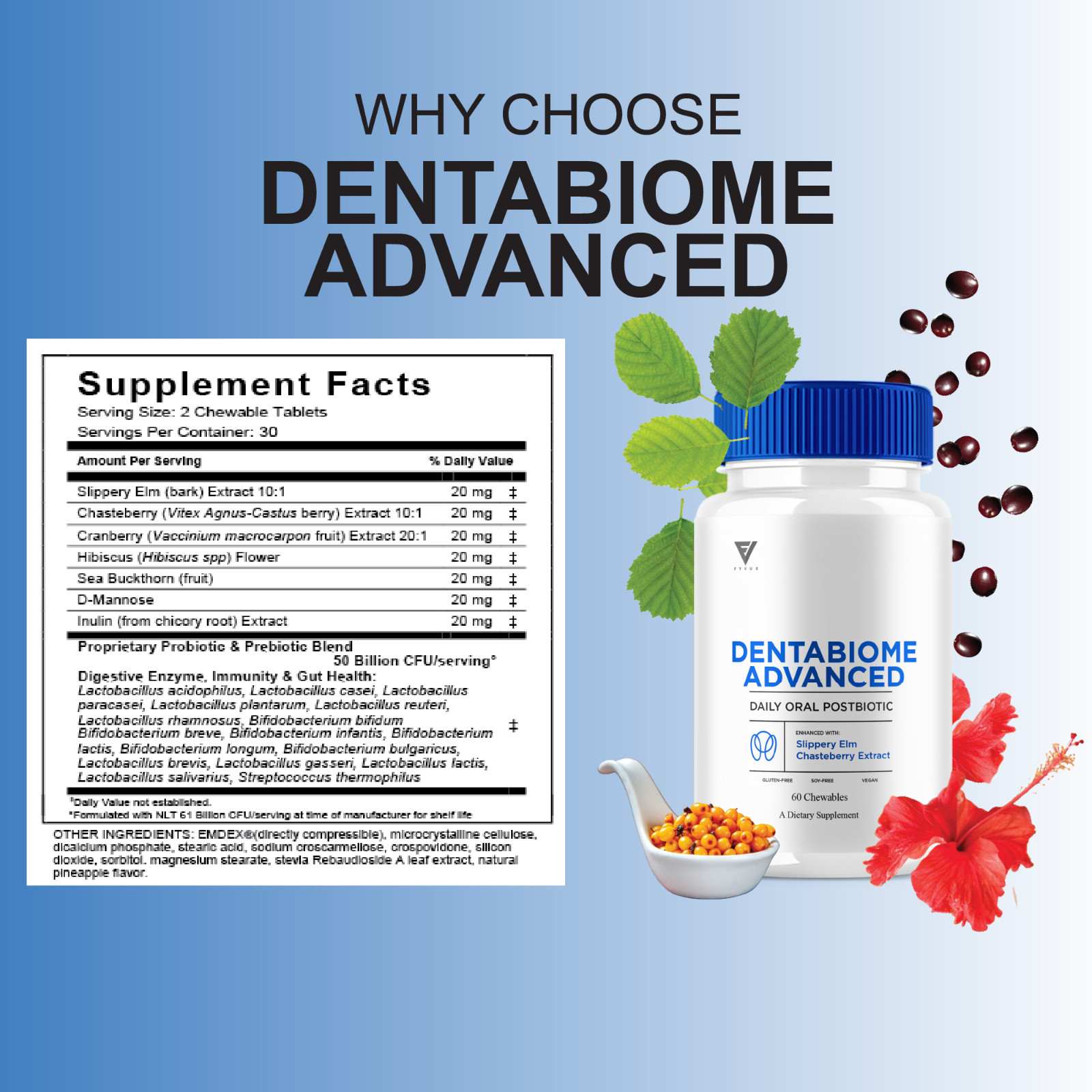 (3 Pack) Dentabiome Advanced, Denta Biome Daily Support Formula (180 Chewables)