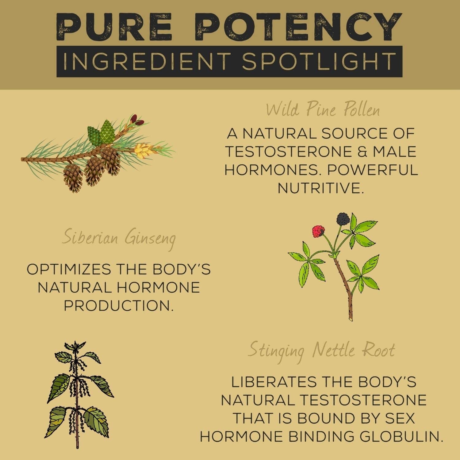Surthrival Pine Pollen Pure Potency 1.69 Fl. Oz.