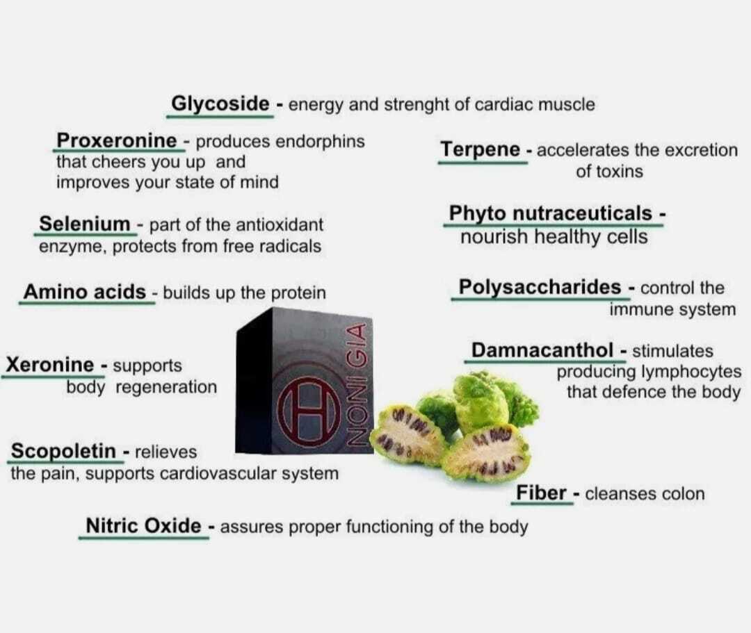 Bhip Noni Gia Natural Drink Antioxidant Digest Sustain Support Immune system