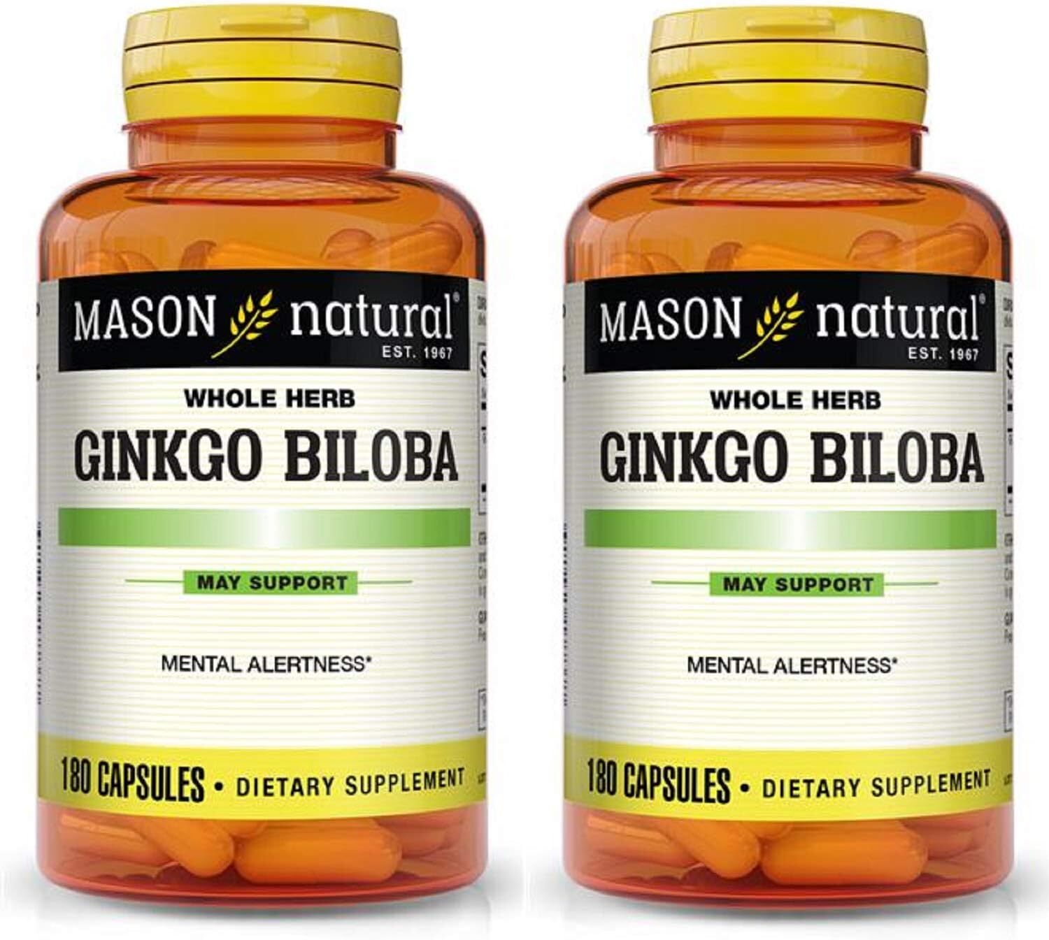 Mason Vitamins Ginkgo Biloba 500 mg 180 ct Pack of 2 Bottles Total 360 Capsules