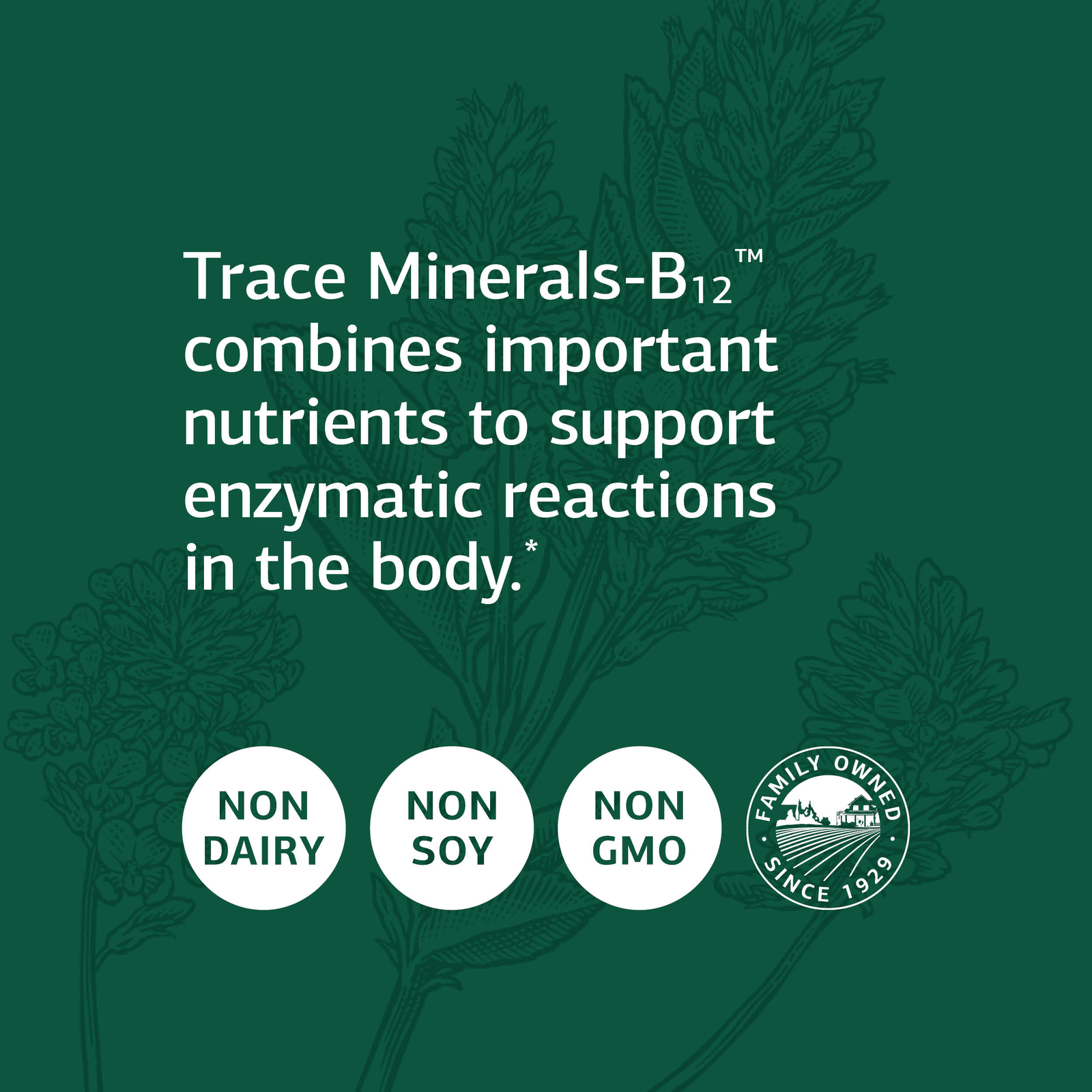 Standard Process Trace Minerals-B12 Whole Food Spleen, 90 Tablets