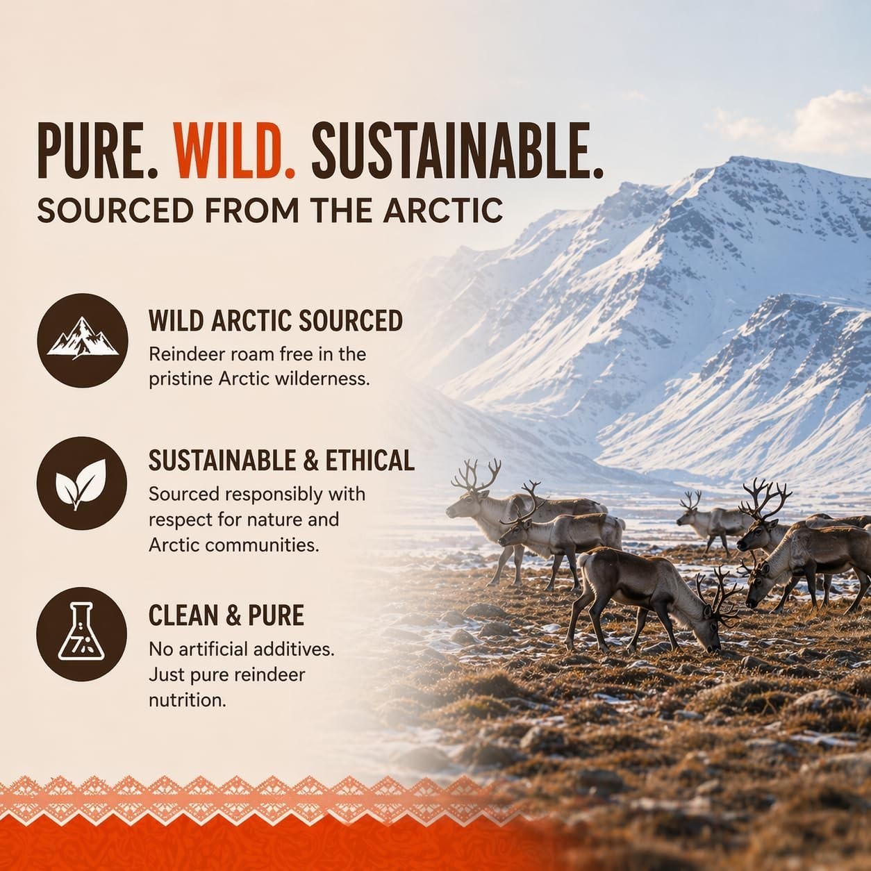 Primal Viking Men’S Overall Well-Being Supplement – Arctic Herbal & Caribou Extr