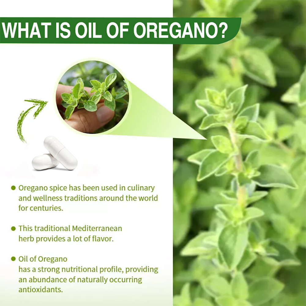Oregano pills 4000mg immune support , fungus away Capsules Contains Carvacrol