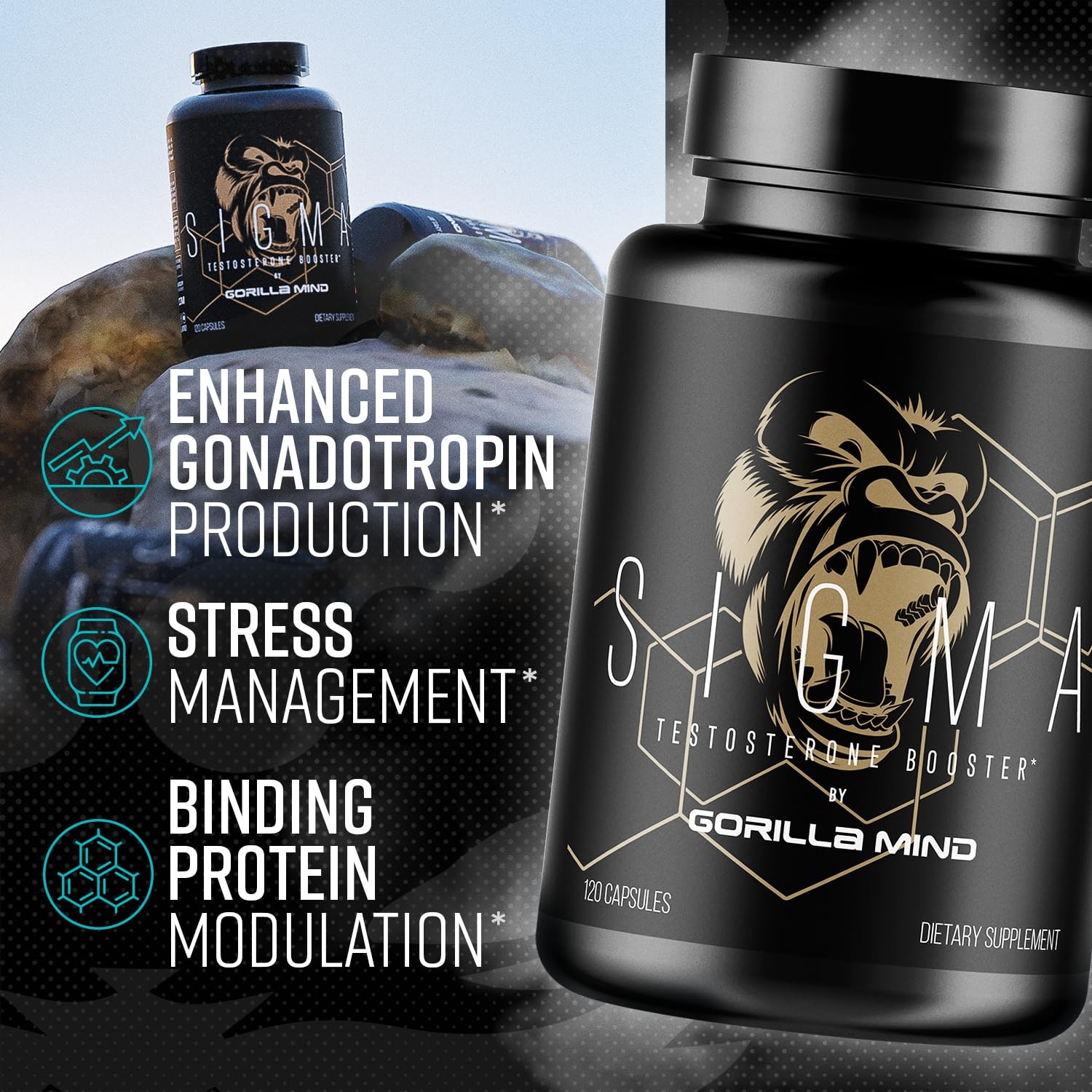 Gorilla Mind Sigma – Ali And Fadogia Agrestis Extract To