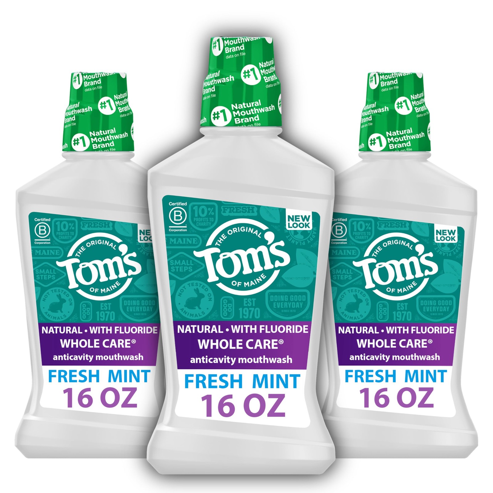 Tom’s Of Maine Whole Care Natural Fluoride 16 Fl Oz (Pack of 3), Fresh Mint