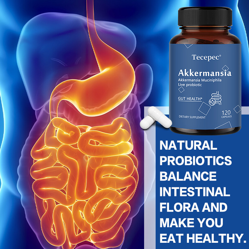 New Formula Akkermansia Muciniphila Live Probiotic Capsules Gut Health Support