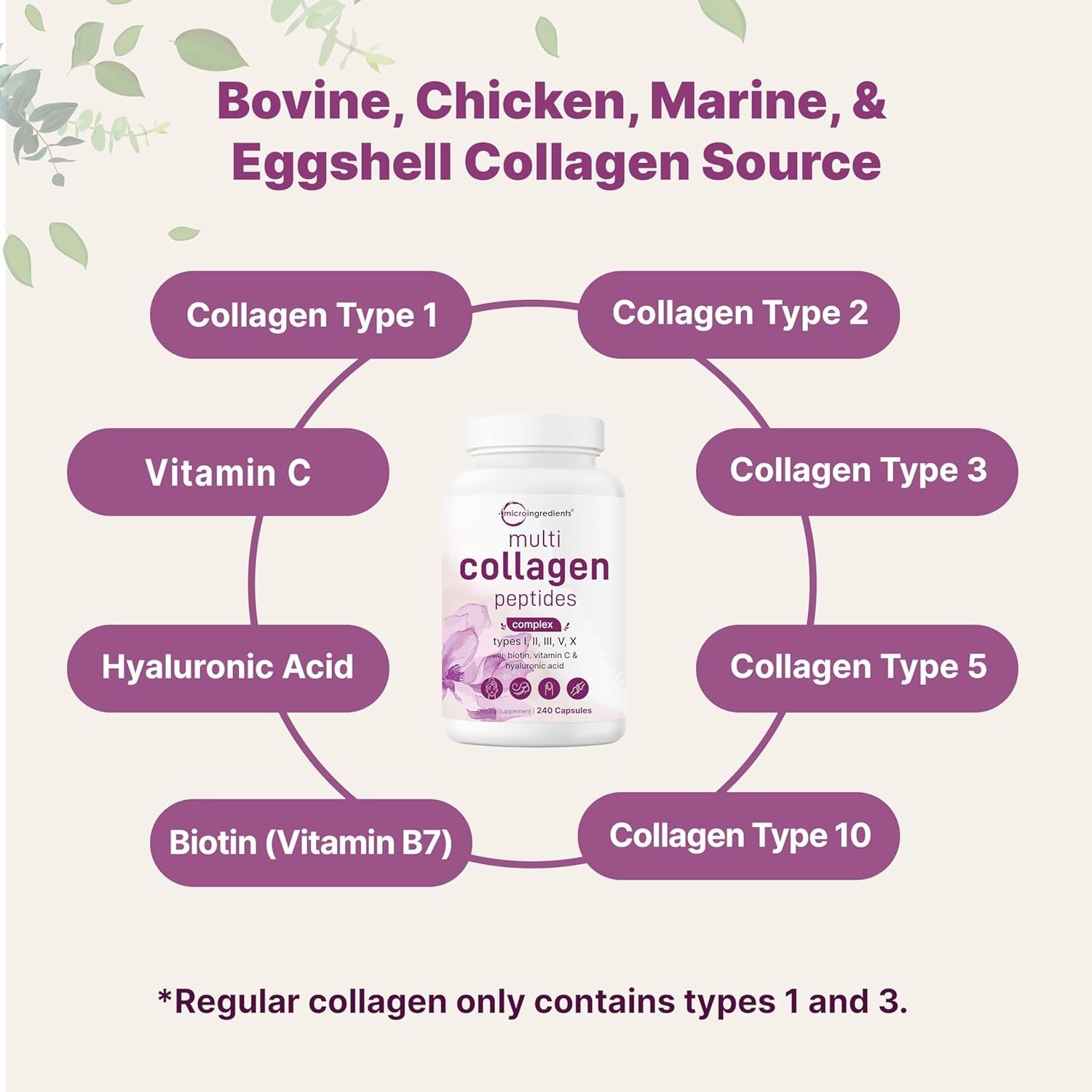 Multi Collagen Capsules – 240 Count, Hydration & Youthful Skin Support