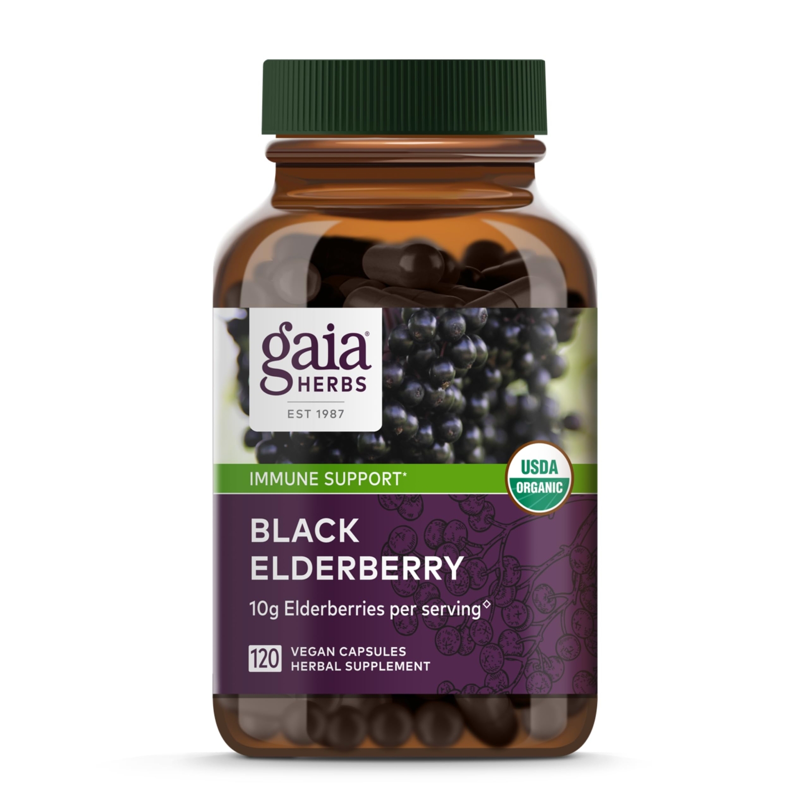 Gaia Herbs Black Elderberry – Daily Immune Support Supplement to Help Maintai…