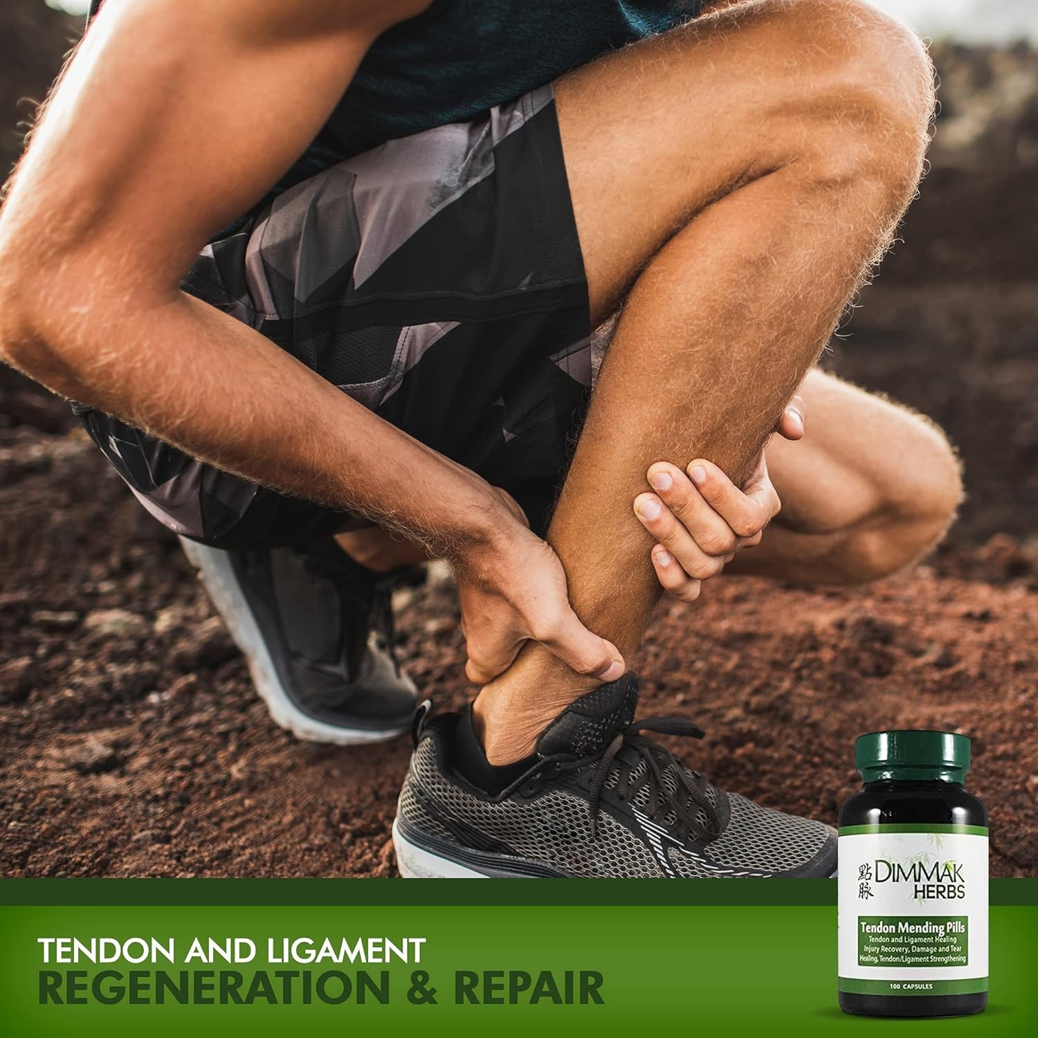 Tendon Mending Pills Tendon and Ligament Regeneration and Repair by Dimmak Herbs