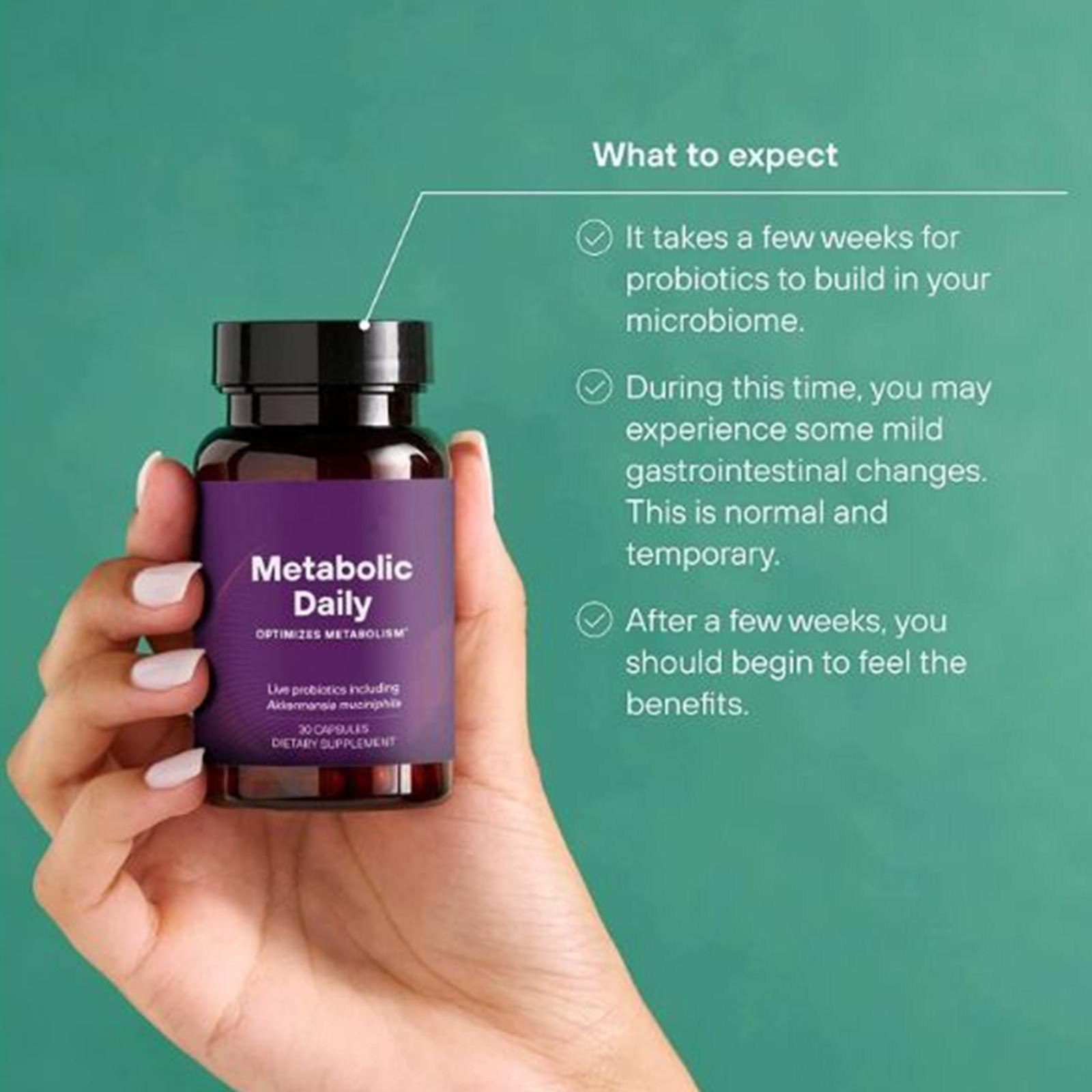 Probiotic Capsules Promote To Digestion And Metabolism Regulation 30 Capsules