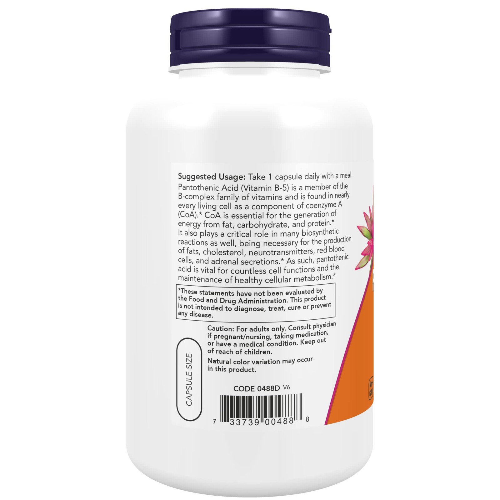 NOW Foods Supplements,Pantothenic Acid (Vitamin 250 Count (Pack of 1), White