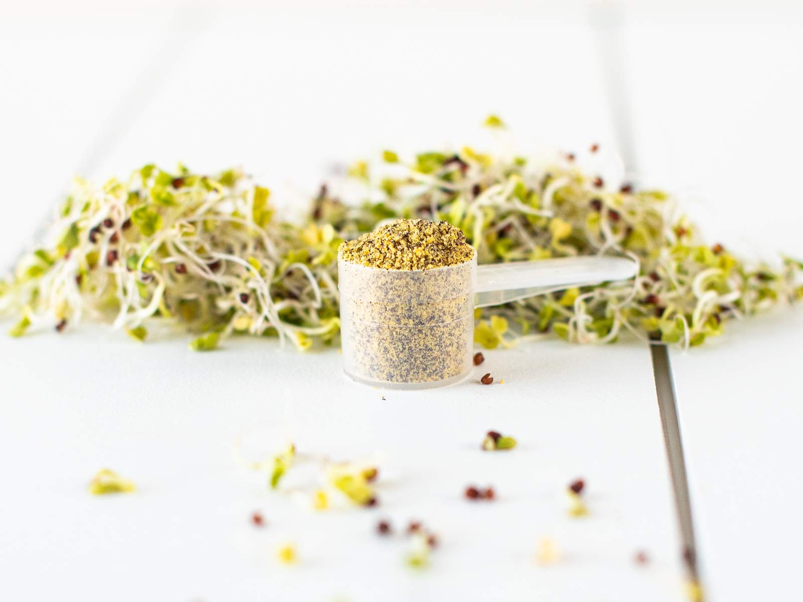 Organic USA Broccoli Sprout Powder Freeze-dried 36 Servings Active Myrosinase