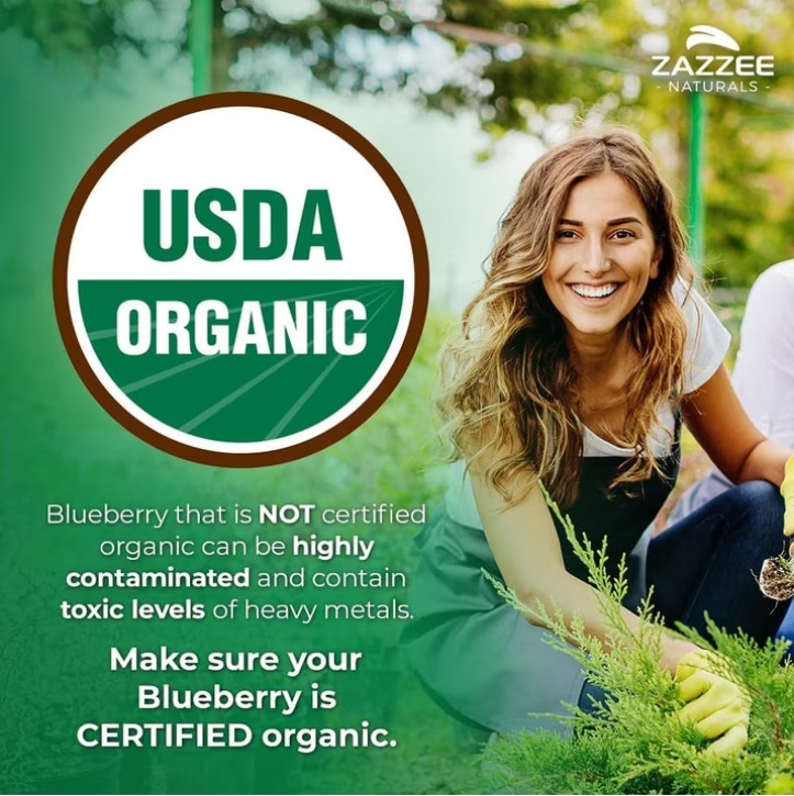 USDA Organic Blueberry Extract Whole Fruit 5000 mg Strength 10:1 Extract
