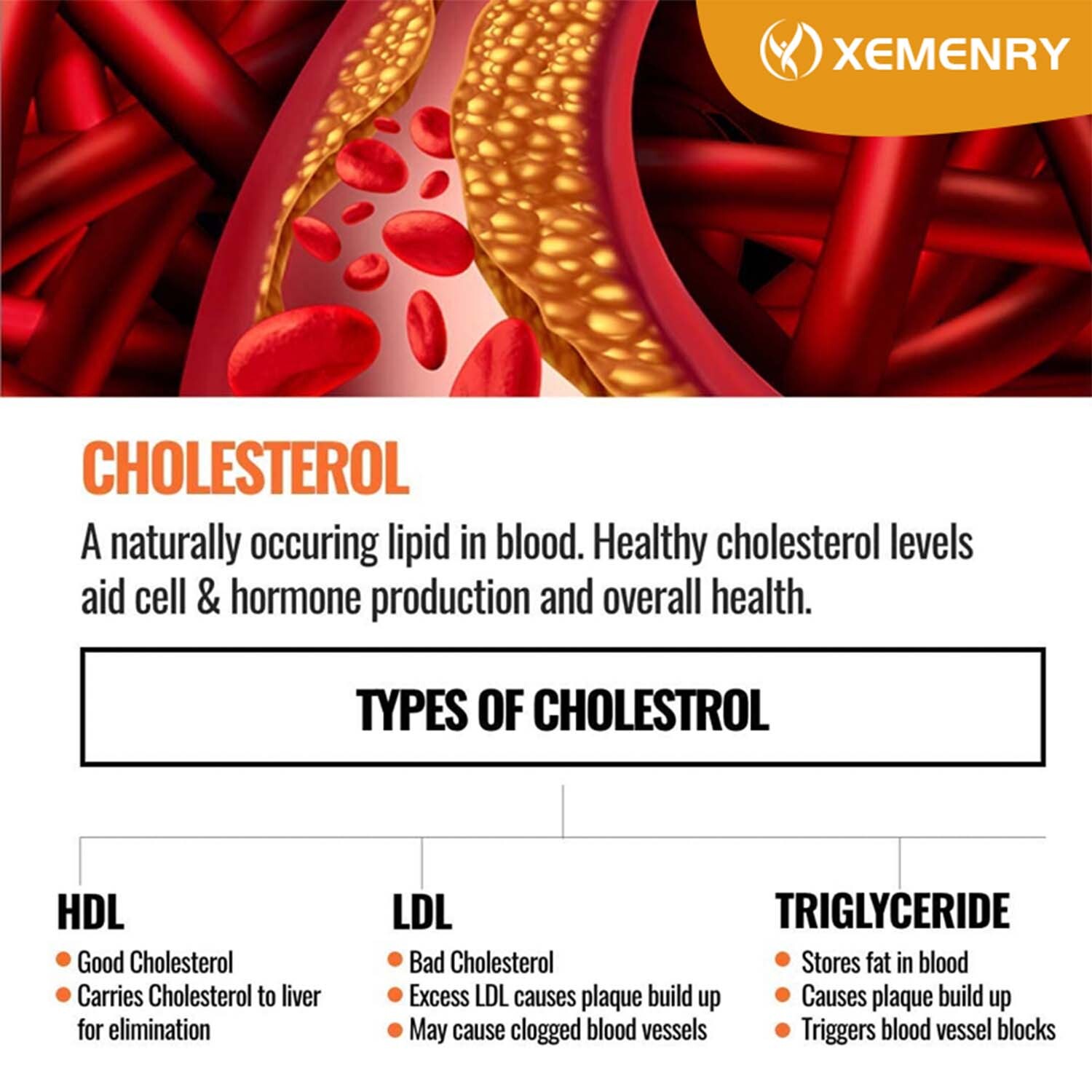 Cholesterol Support – Balance Cholesterol Supplement High Cholesterol Lowering