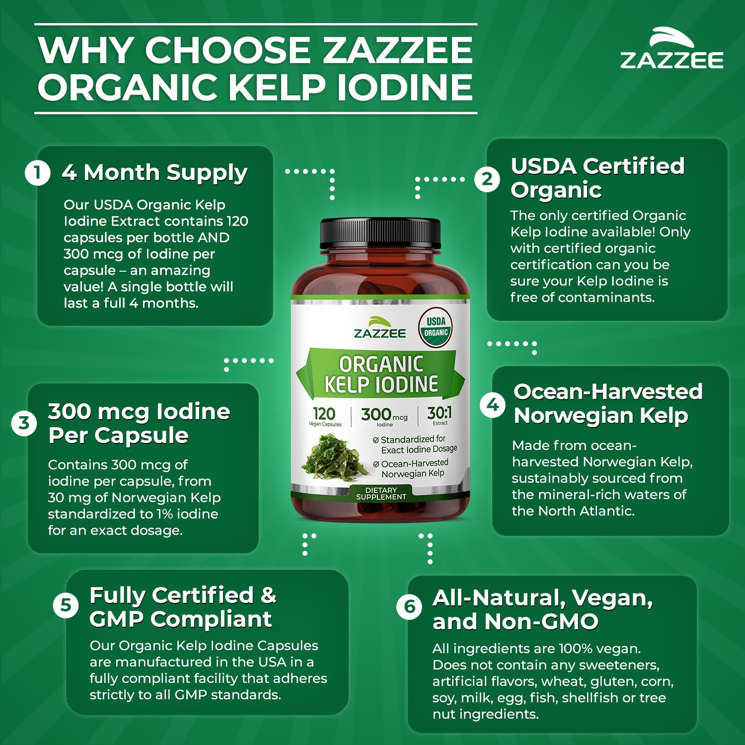 Zazzee USDA Organic Kelp Iodine 30:1 Extract, 300 mcg, 120 Vegan Capsules