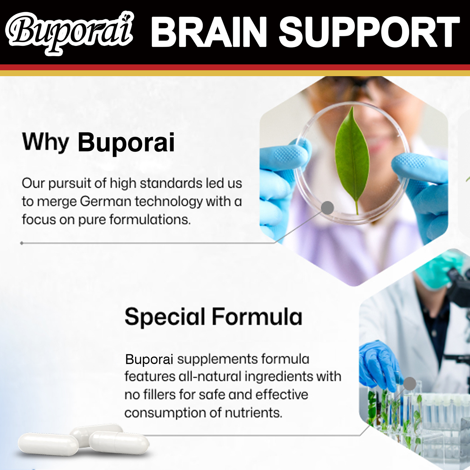 Brain Support – Ginkgo Biloba, Ginseng-Promotes Brain Health and Improves Memory