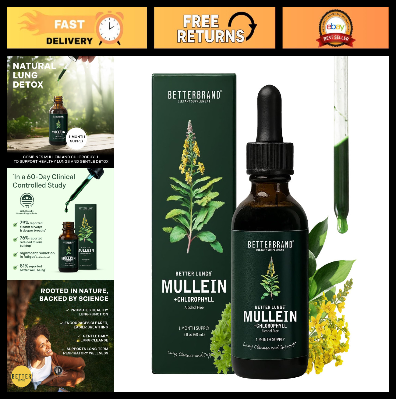 Mullein Leaf Tincture Drops – Lung Detox & Respiratory Support, Alcohol-Free, 1