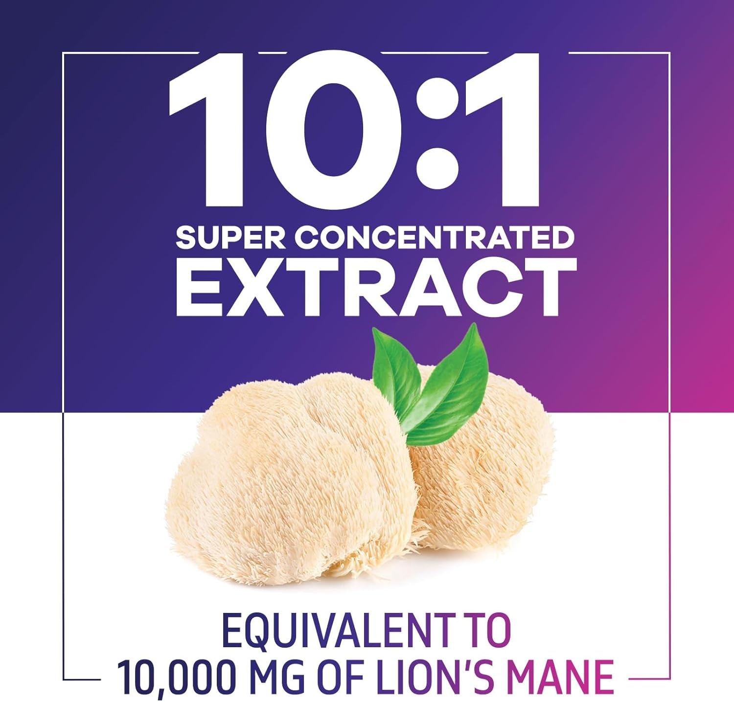 Lions Mane Supplement Capsules 10,000mg – 10:1 Extract , 120 Capsules