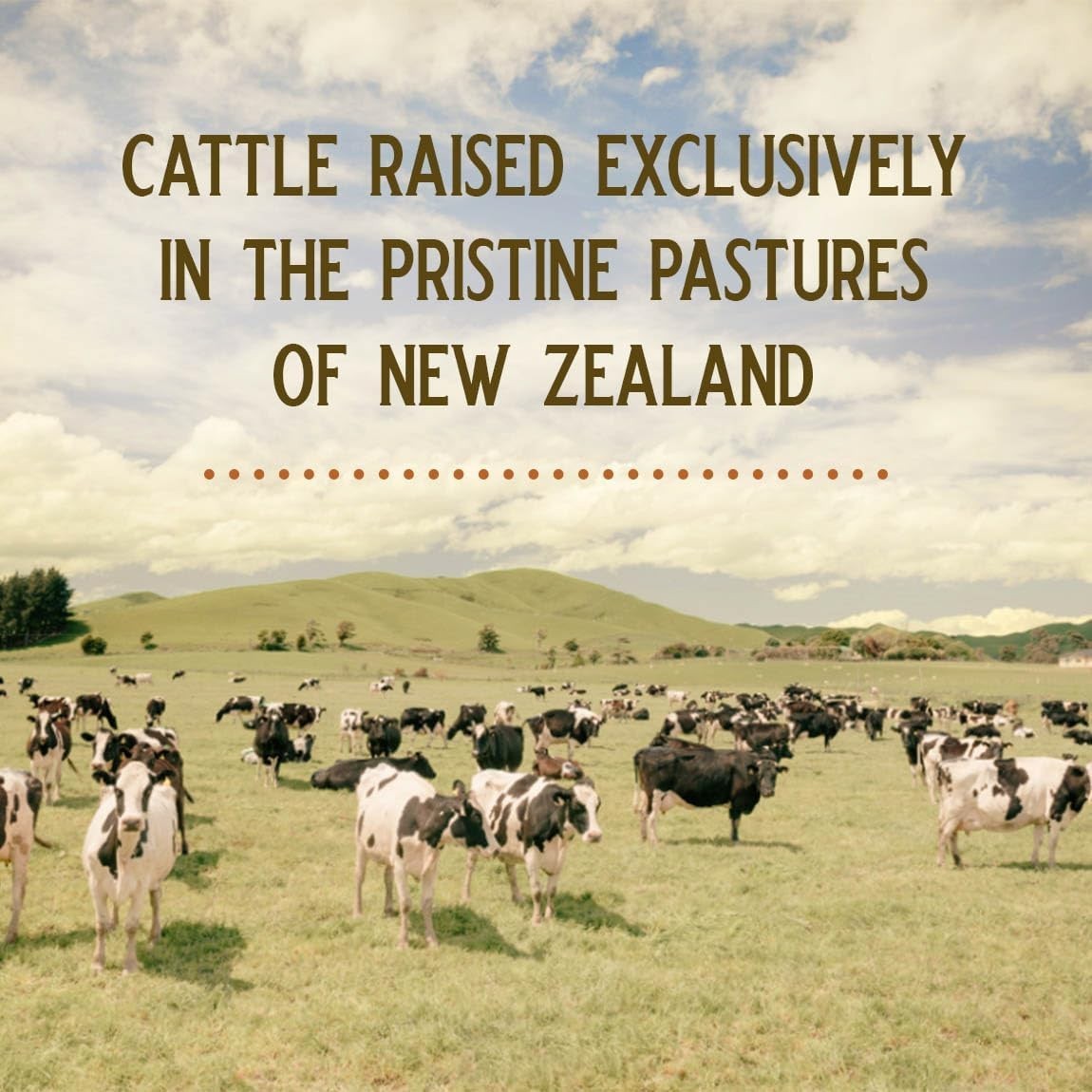 Grass Fed Bovine Organ Complex: Liver, Spleen, Kidney, Heart, Pancreas