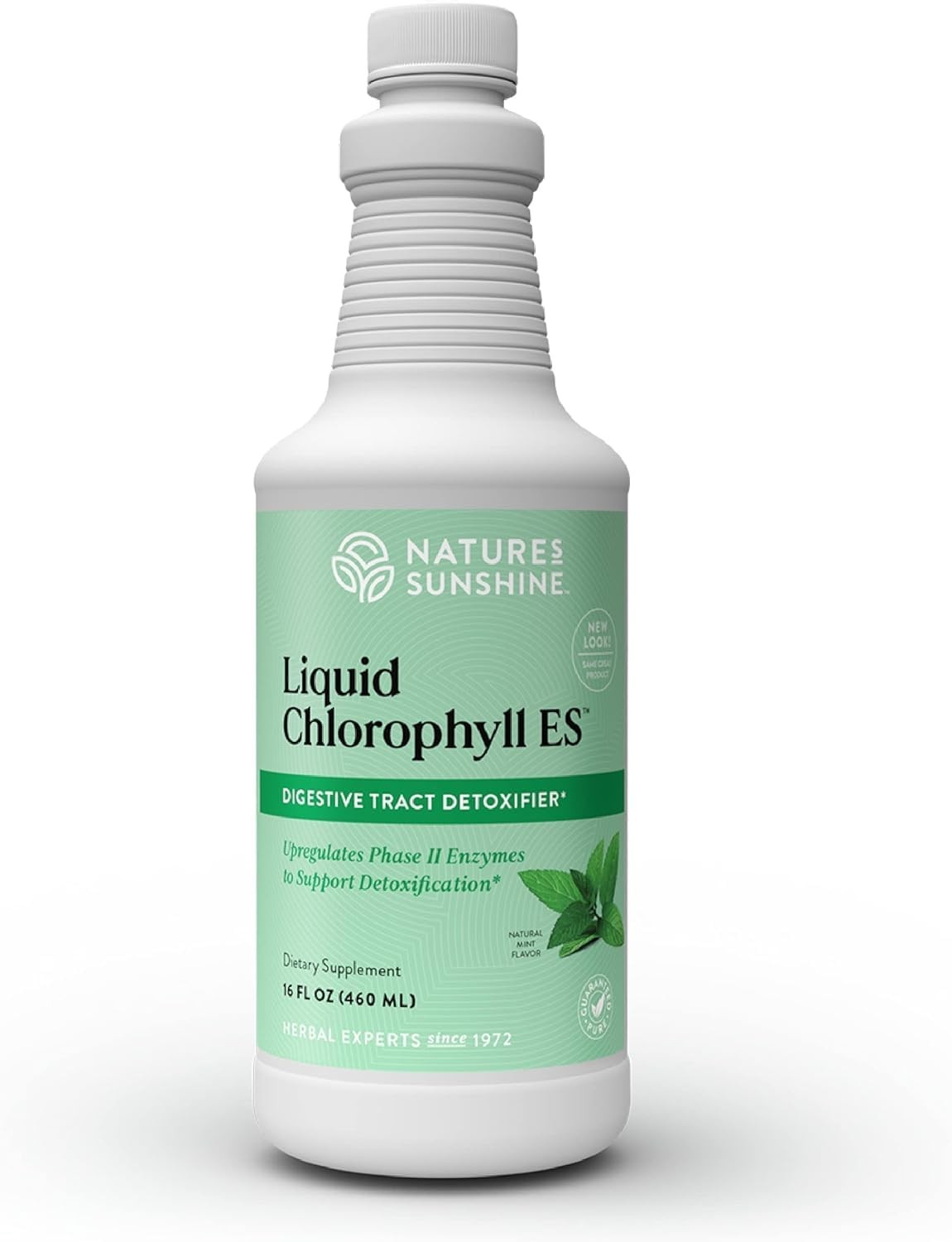Nature’s Sunshine Liquid Chlorophyll Extra Strength – 16 Fl Oz (Pack of 1)
