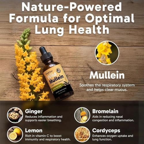 RESPICLEAR All-Organic Mullein Drops With Ginger & Lemon For Lung Cleanse And…