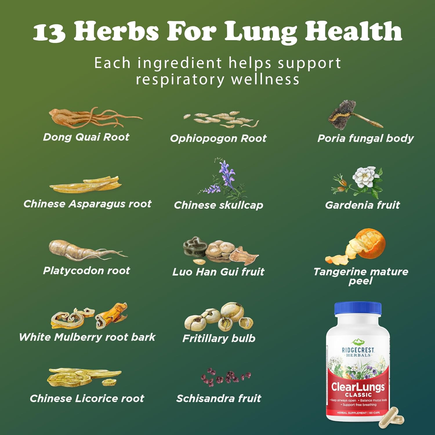 Ridgecrest Herbals Clearlungs Classic, Daily Health Supplement, Natural Lung and